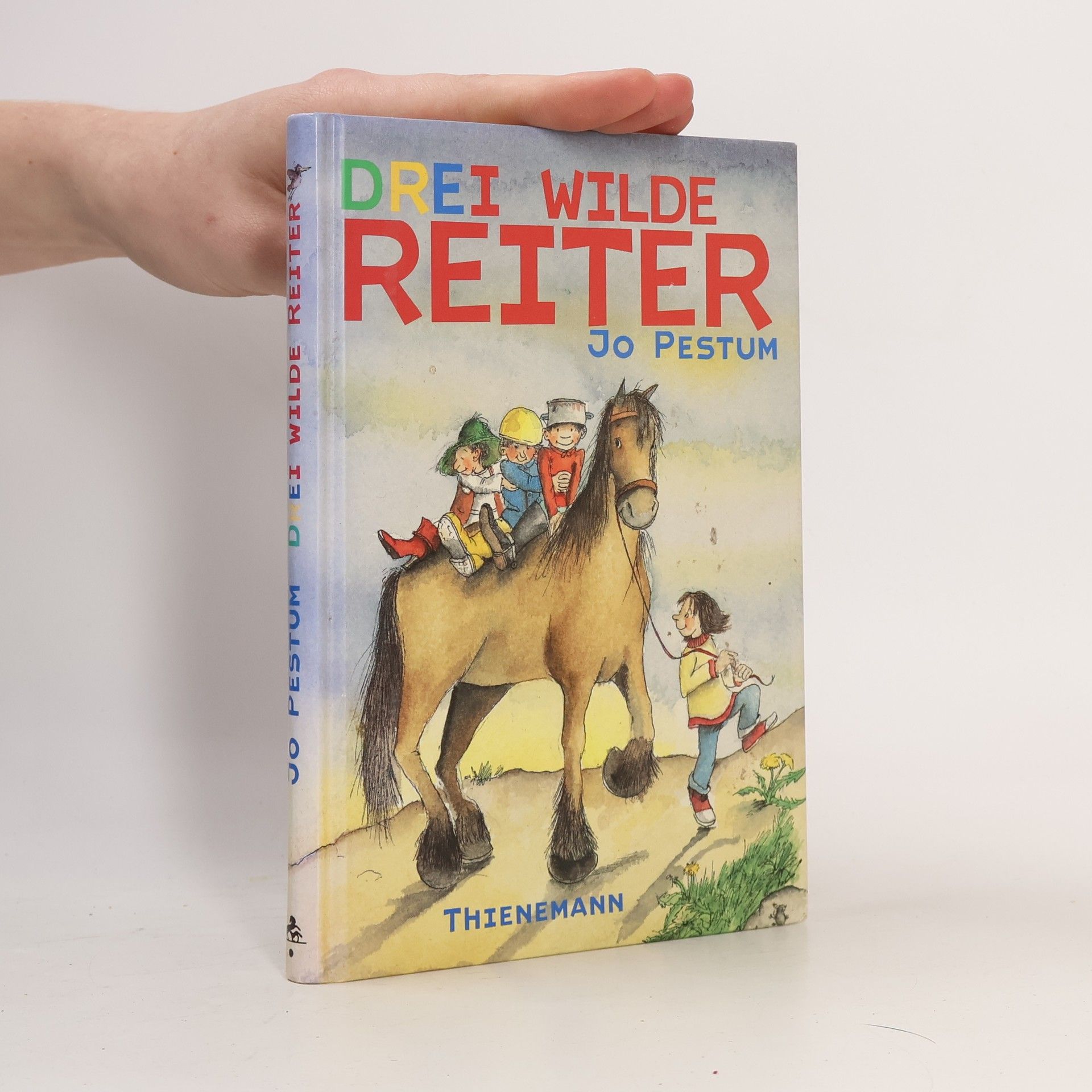 Drei wilde Reiter