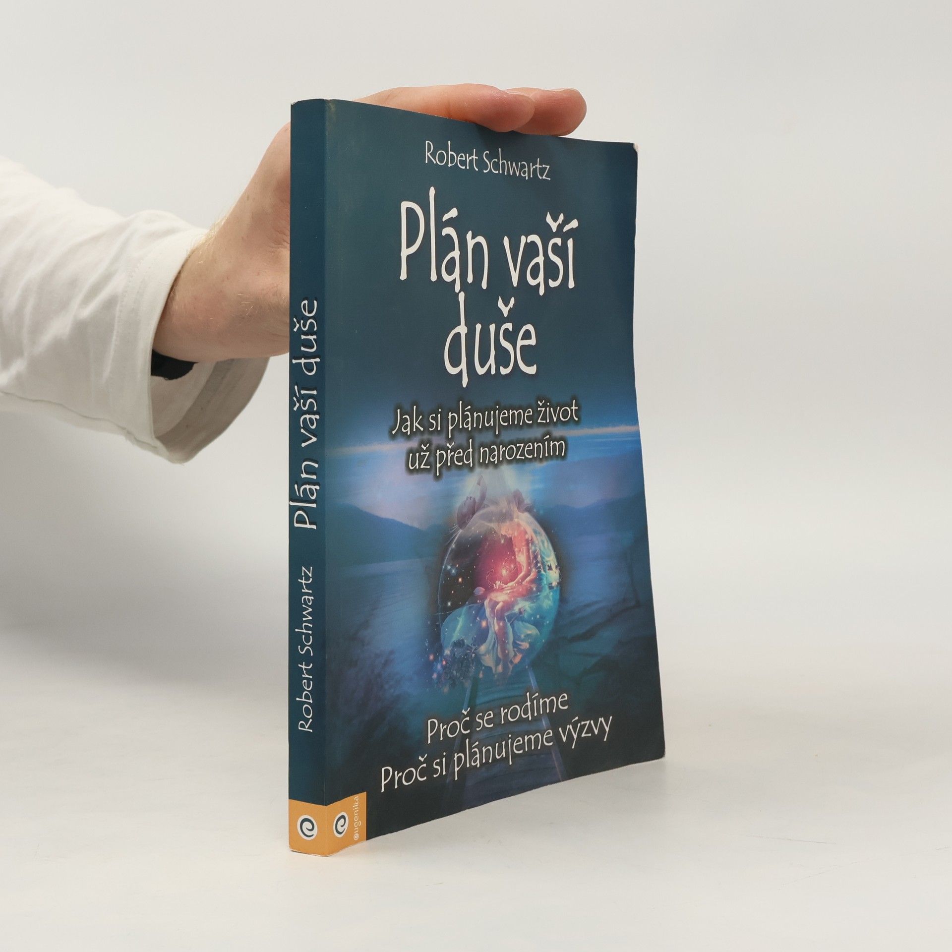 Plán vaší duše. Jak si plánujeme život už před narozením