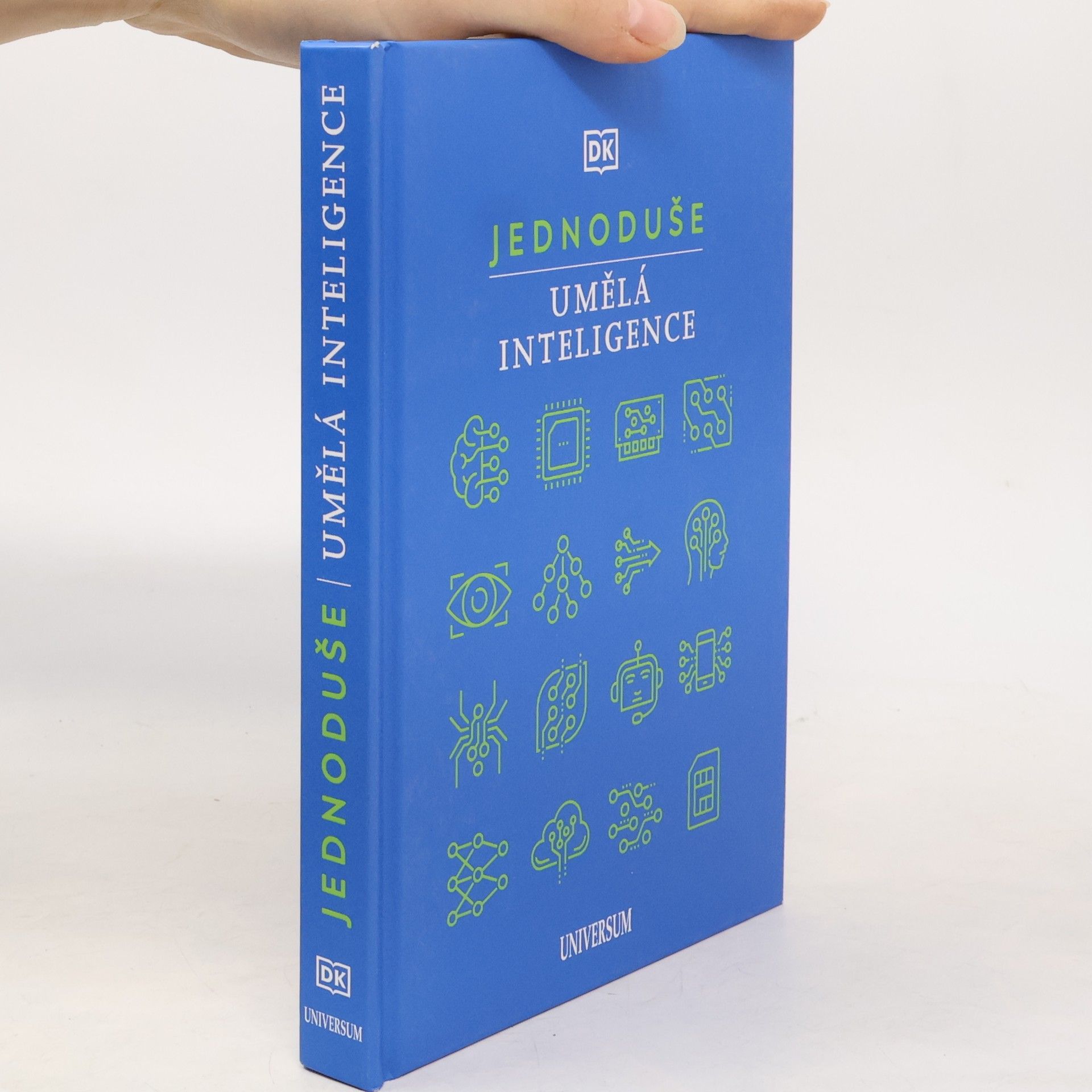 Lenka Strnadová Jednoduše. Umělá inteligence