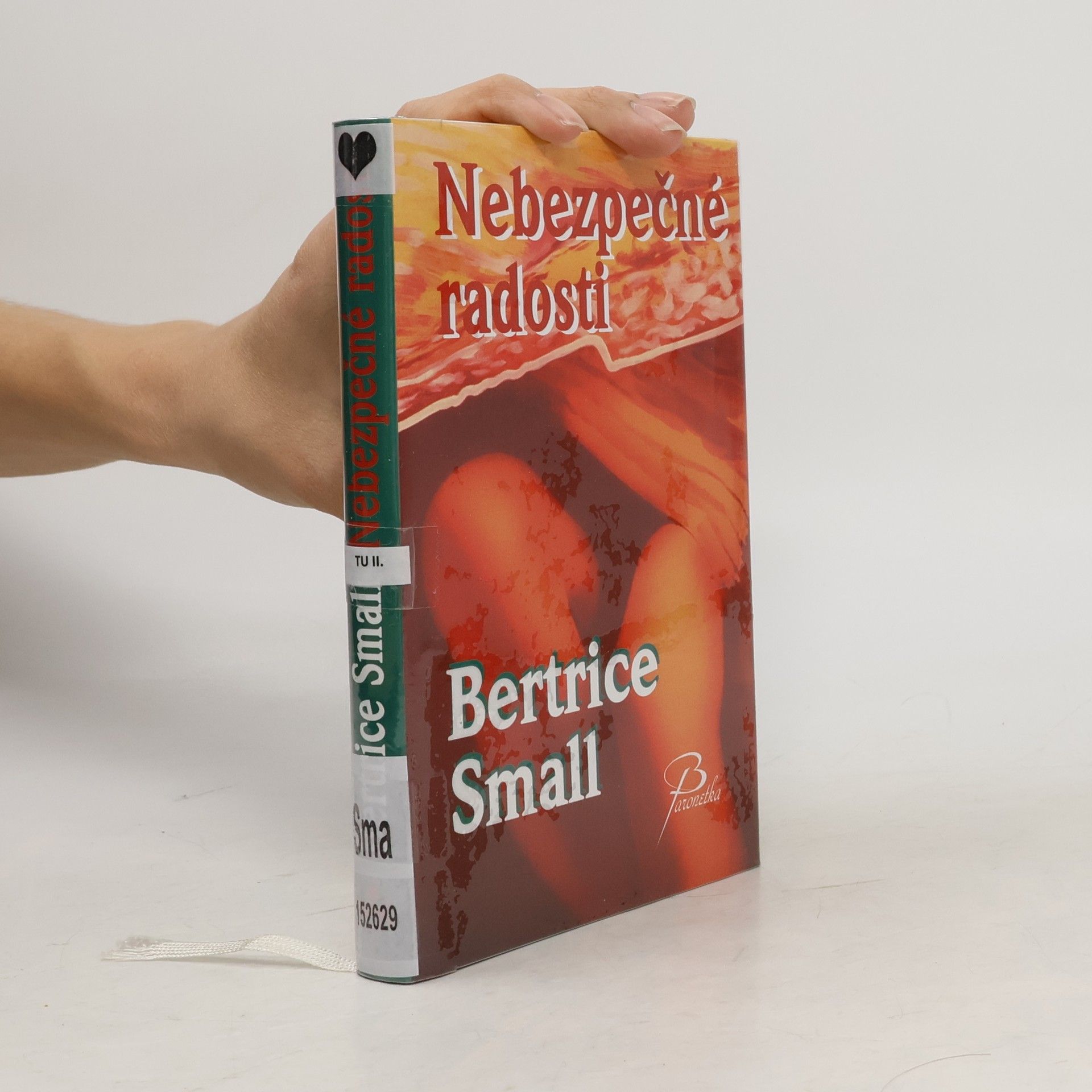 Bertrice Small Nebezpečné radosti
