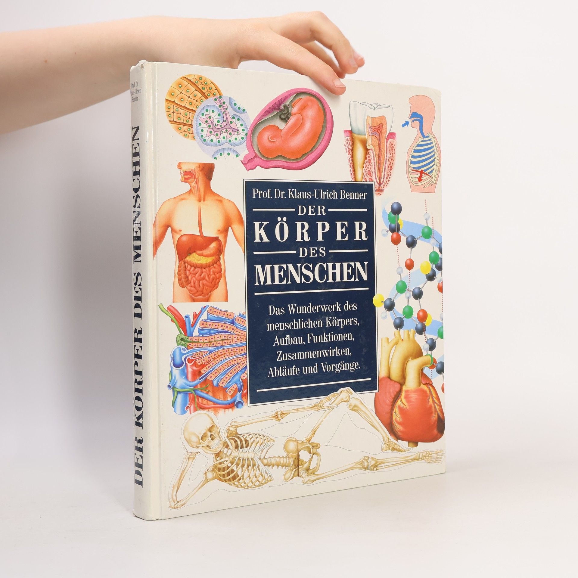 Klaus-Ulrich Wermann Der Körper des Menschen