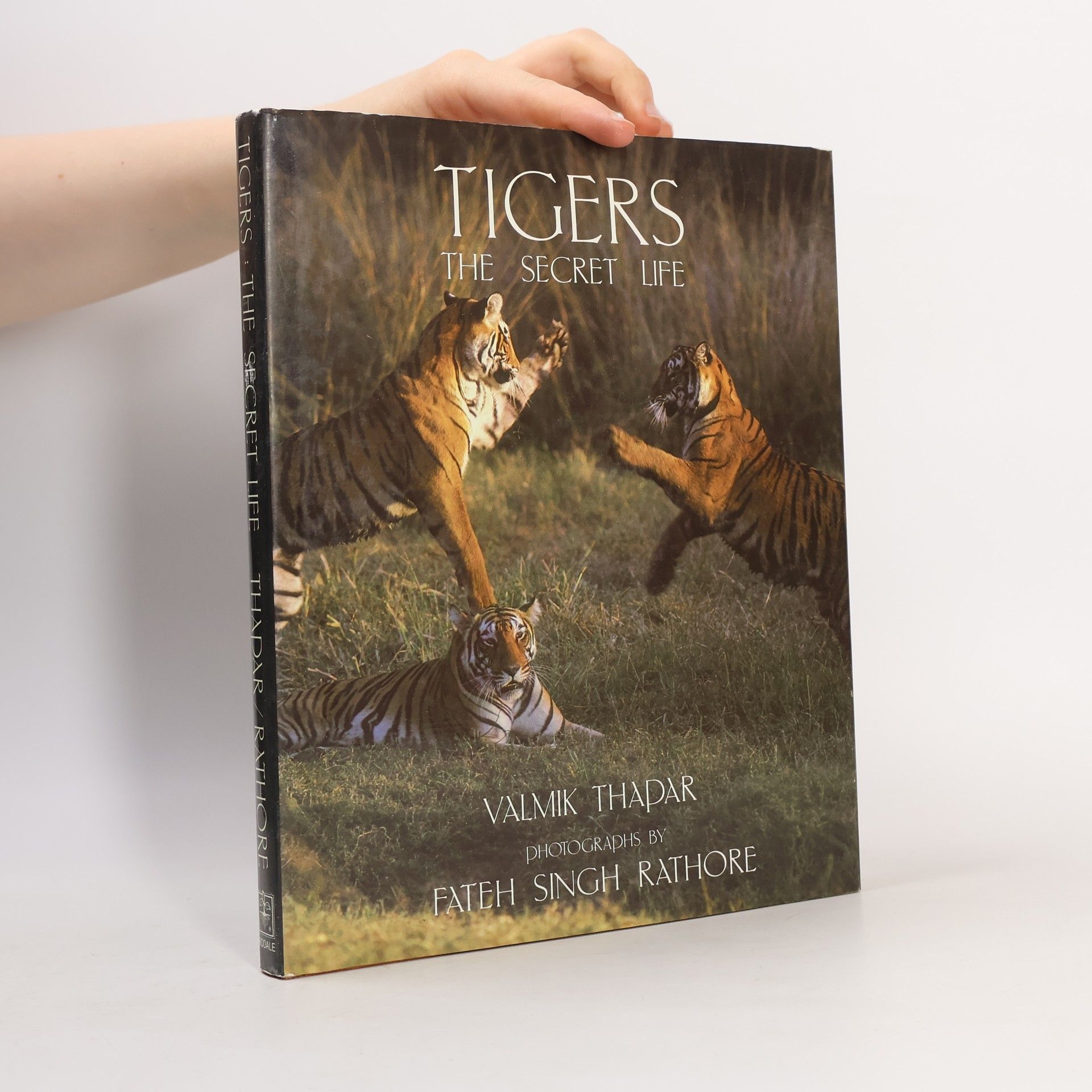 Valmik Thapar Tigers