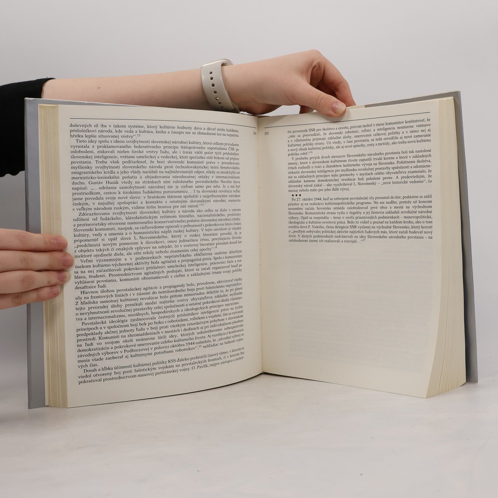 Autorenkollektiv Dejiny slovenského národného povstania 1944. 2. zväzok
