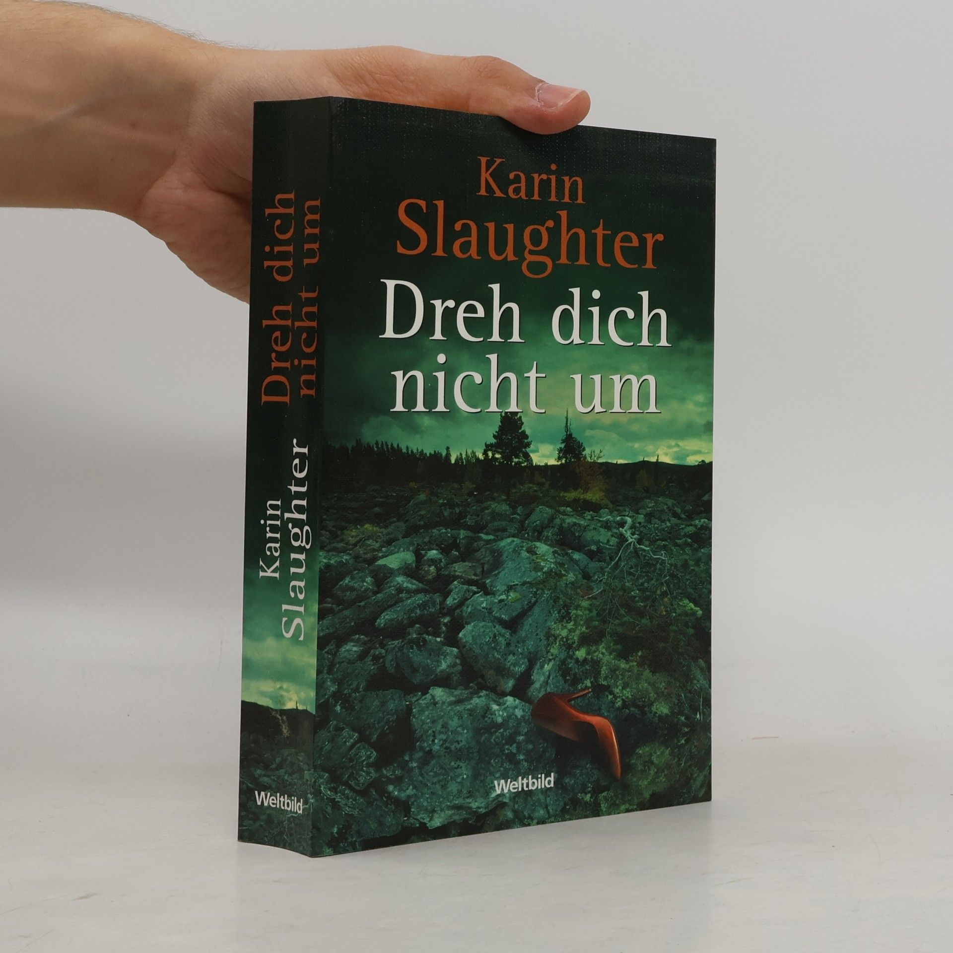 Karin Slaughter Dreh dich nicht um