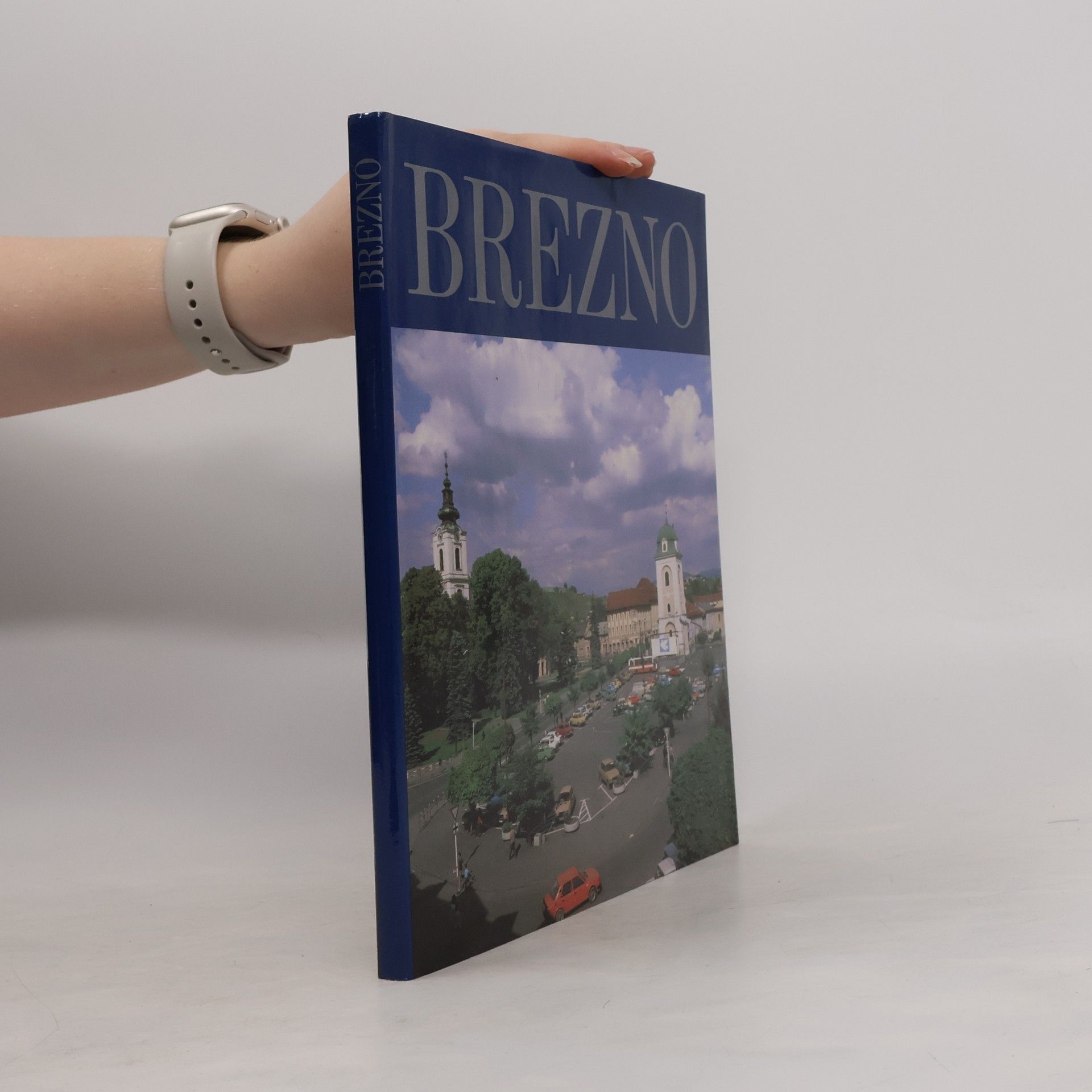 Lukáš Bošela Brezno