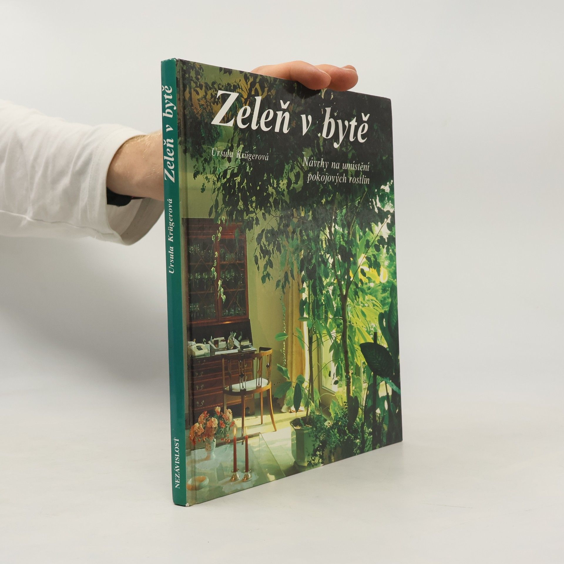 Ursula Krueger Zeleň v bytě. Návrhy na umístění pokojových rostlin