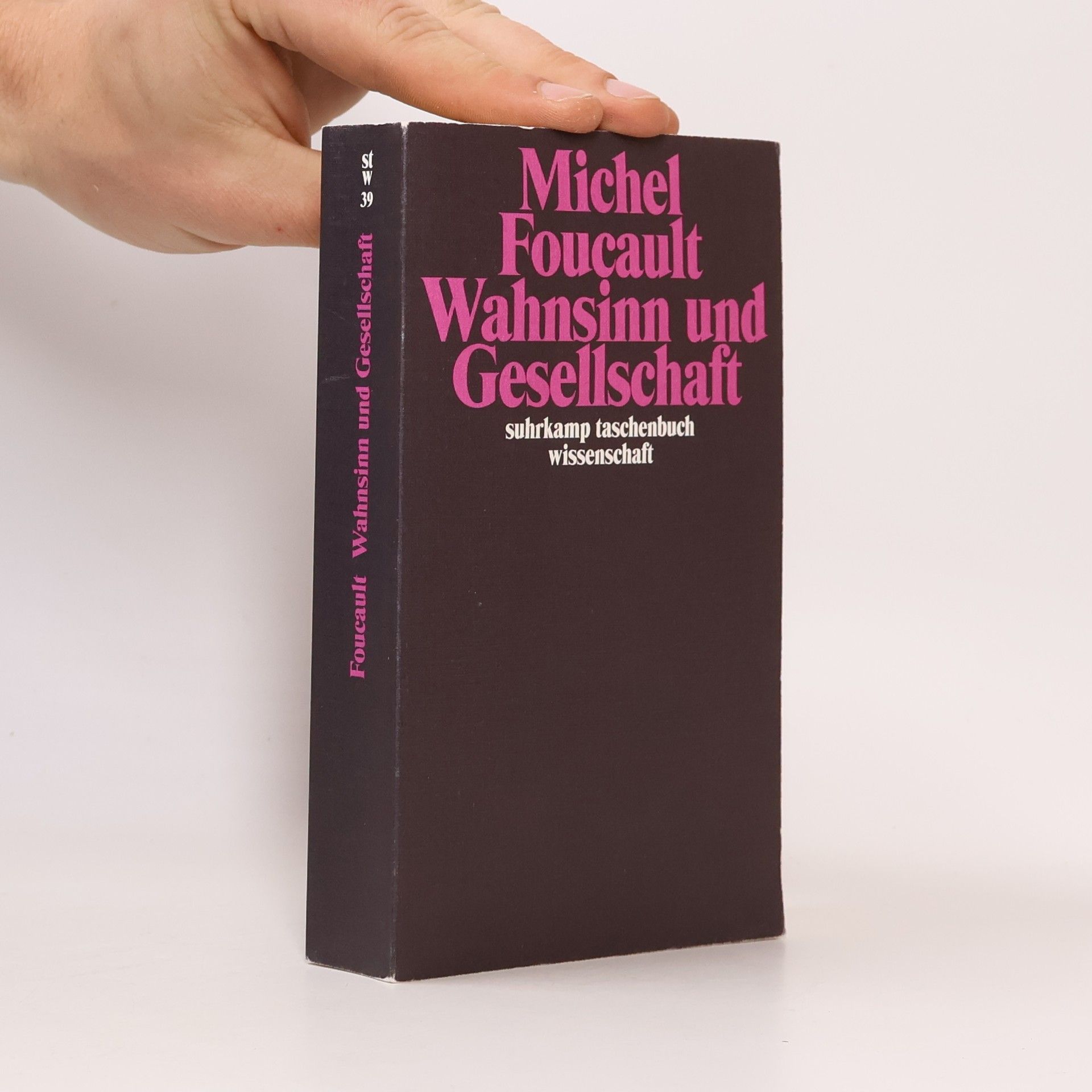 Michel Foucault Wahnsinn und Gesellschaft