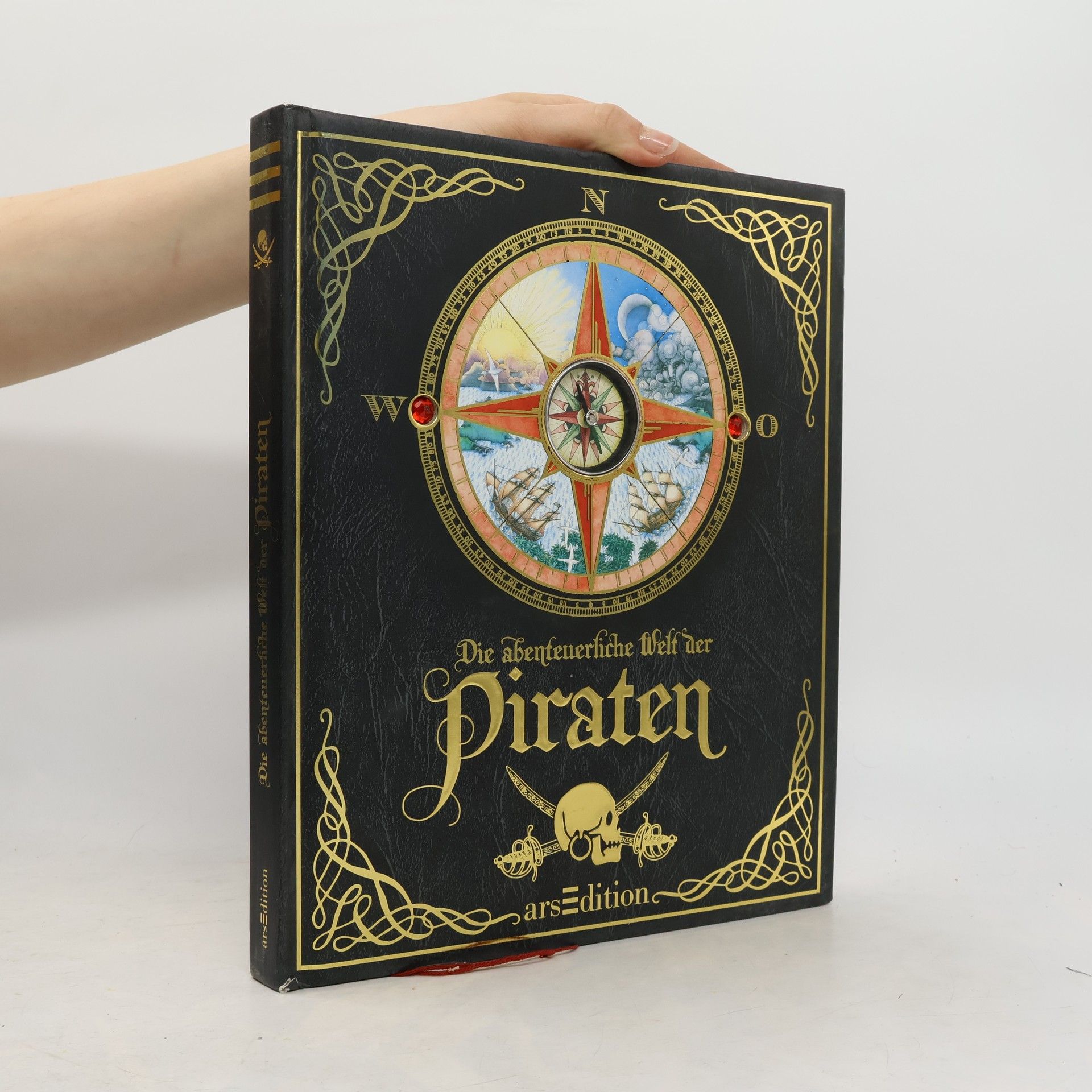 Dugald A. Steer Die abenteuerliche Welt der Piraten