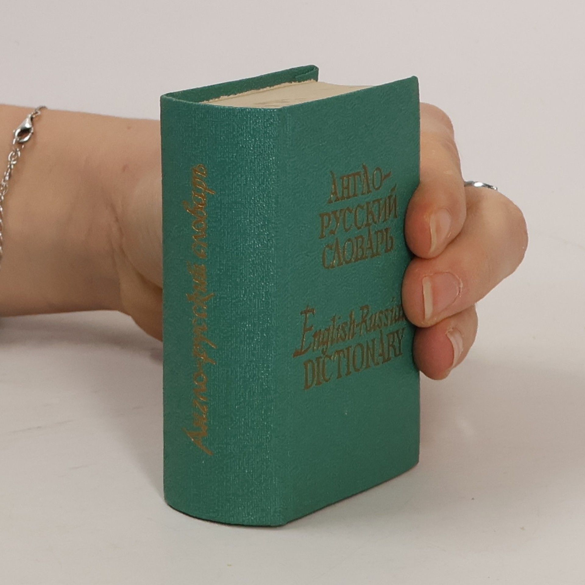Oleg Petrovich Beni︠u︡kh Англо русский словарь. English-Russian Dictionary