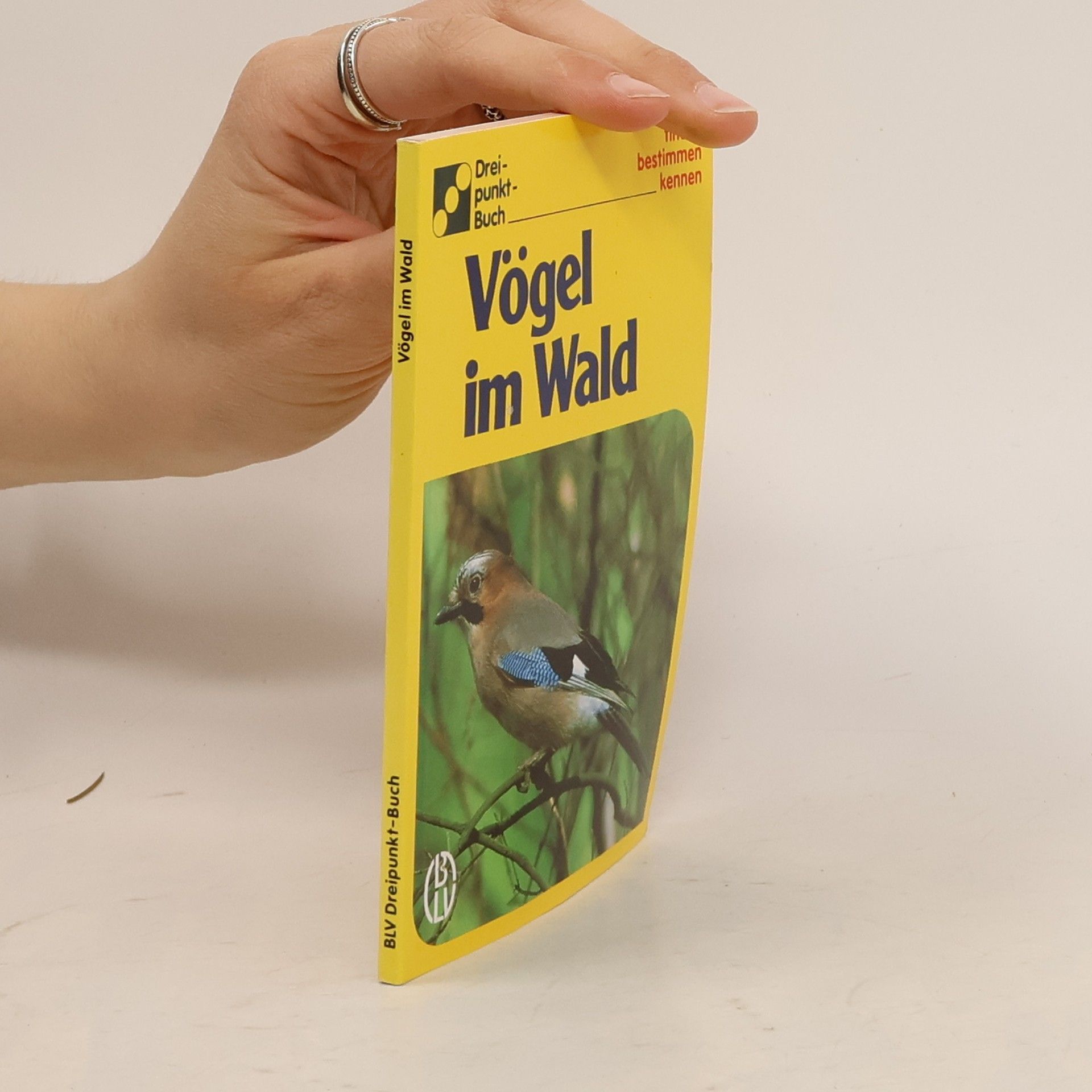Vögel im Wald