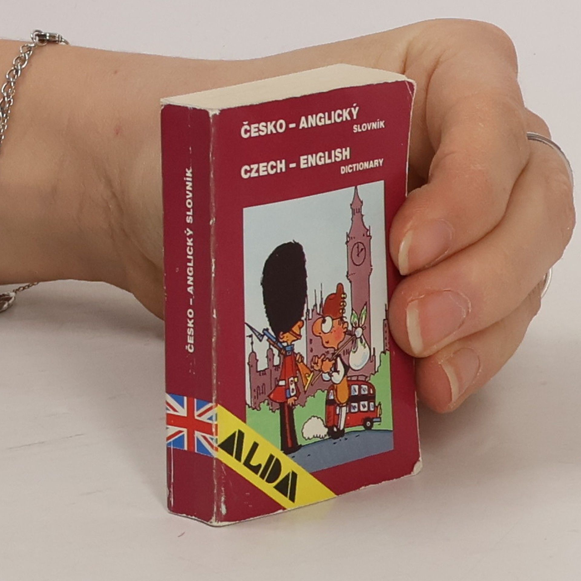 Kolektiv autorů Česko-anglický slovník = Czech-English Dictionary Czech-English Dictionary