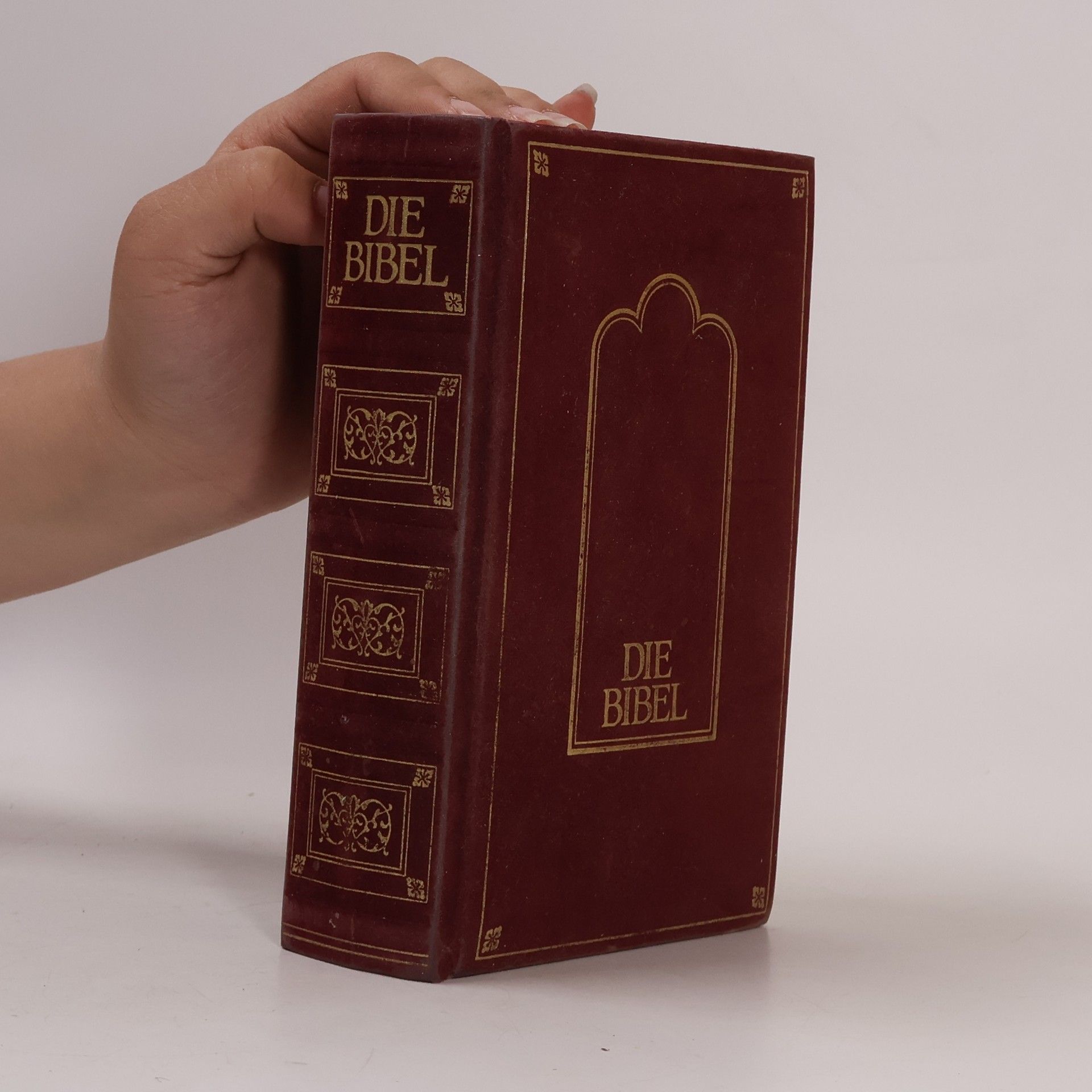Vinzenz Hamp Die Bibel