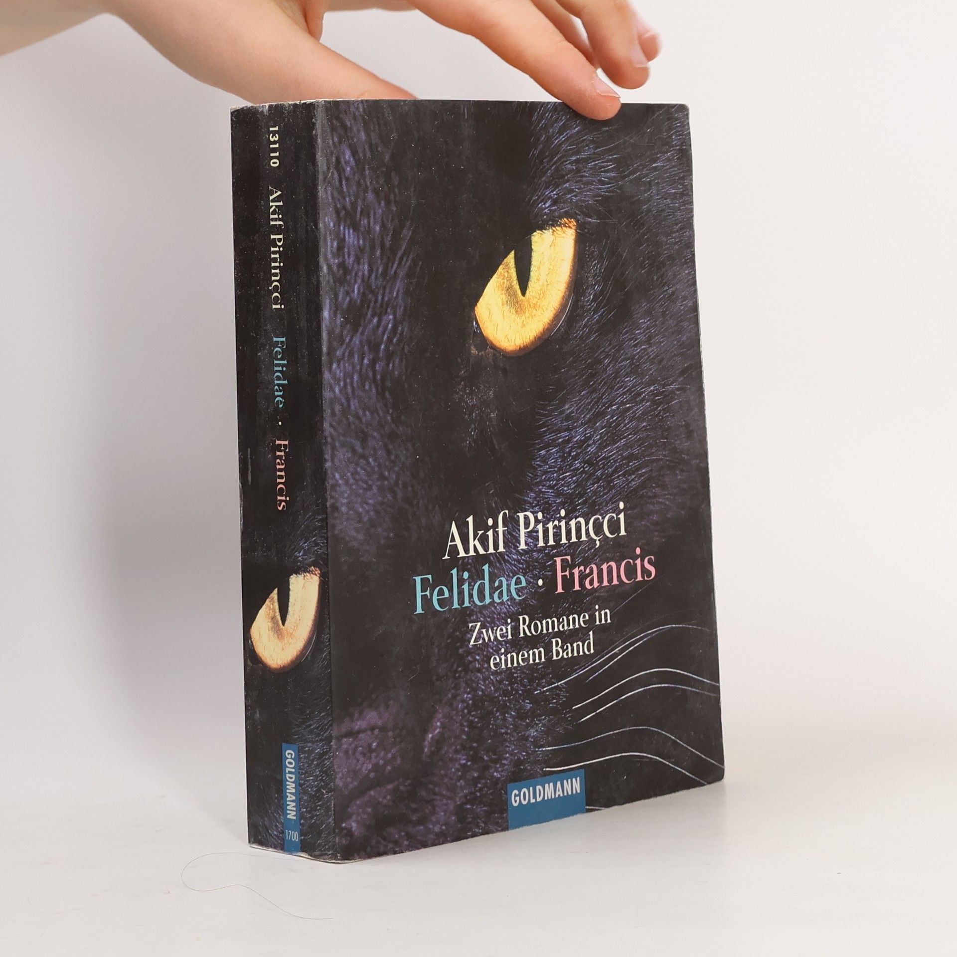Felidae