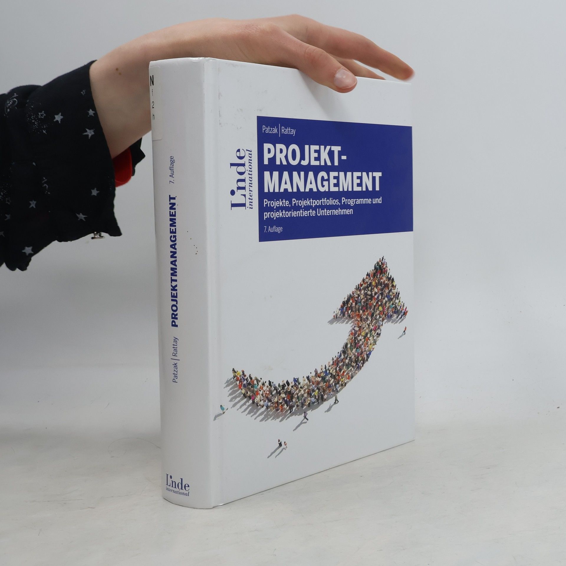 Gerold Patzak Projektmanagement