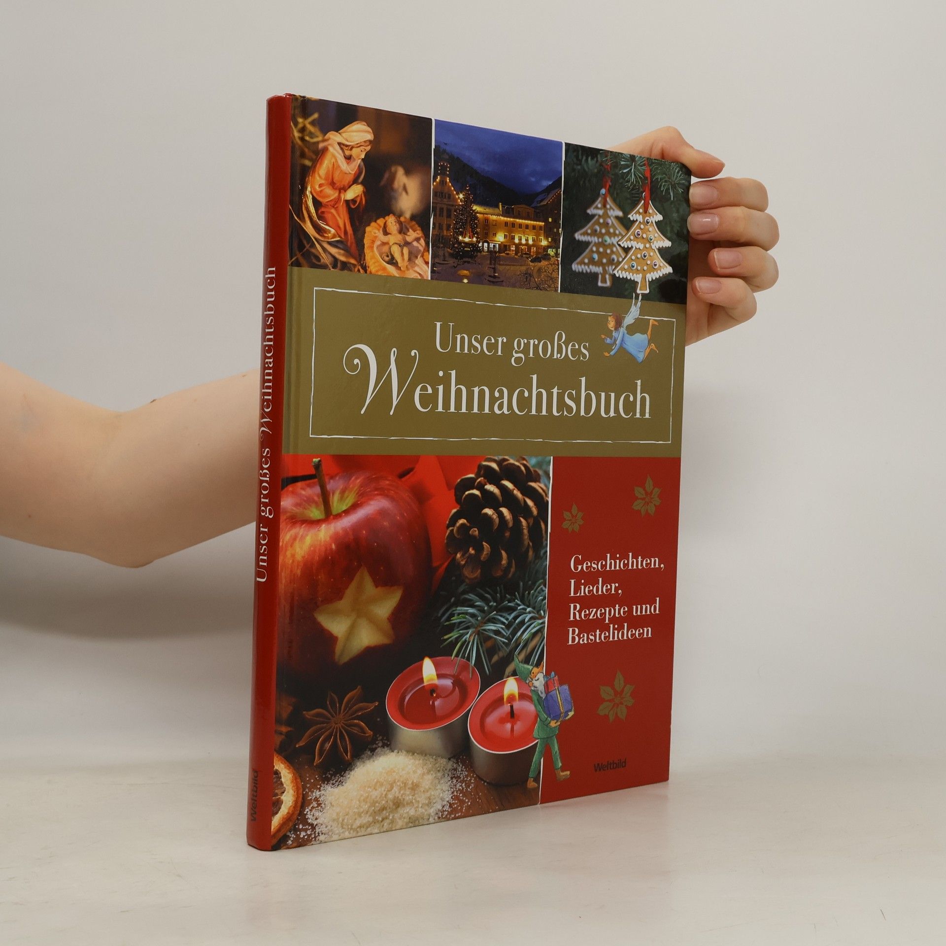 Unser großes Weihnachtsbuch