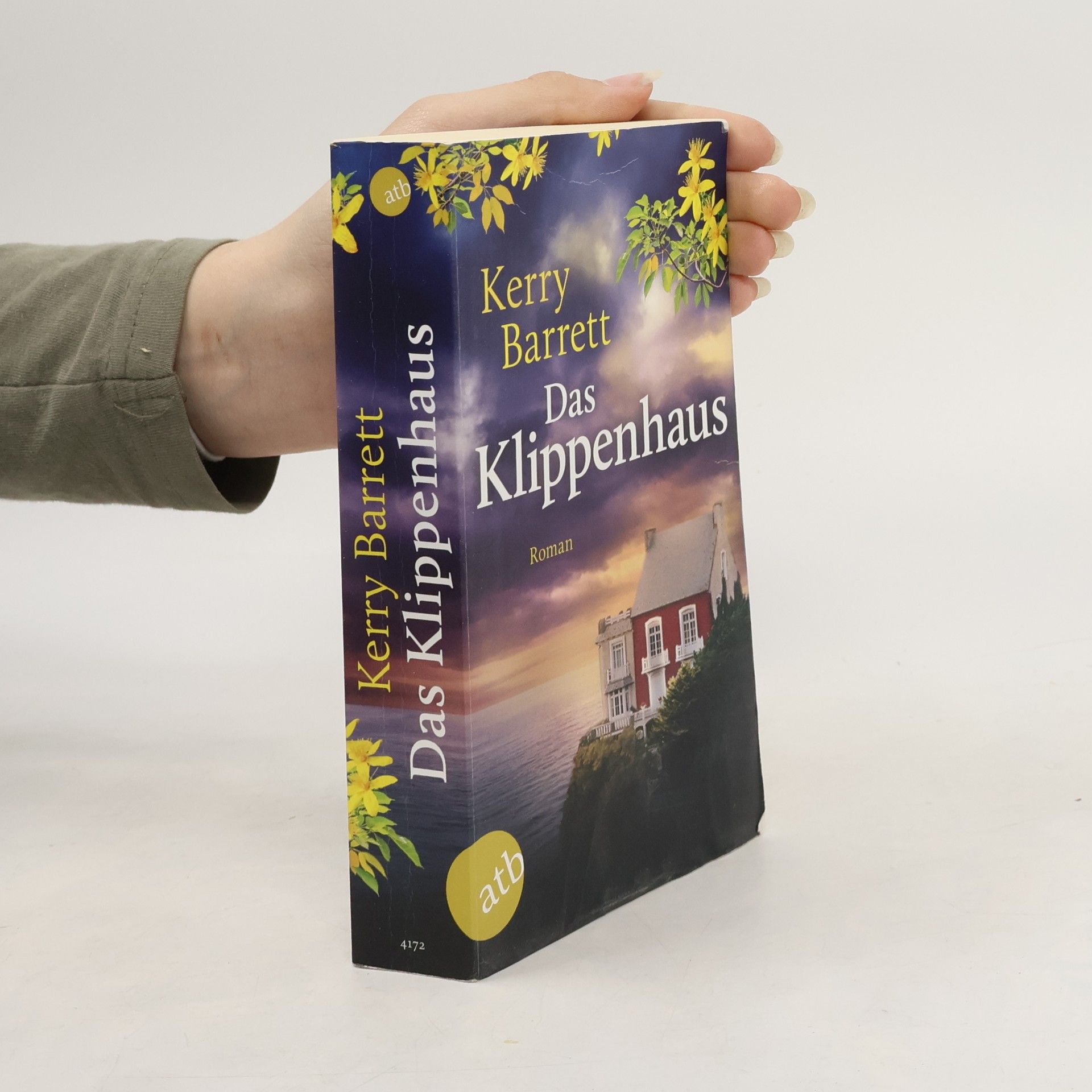 Das Klippenhaus. Roman