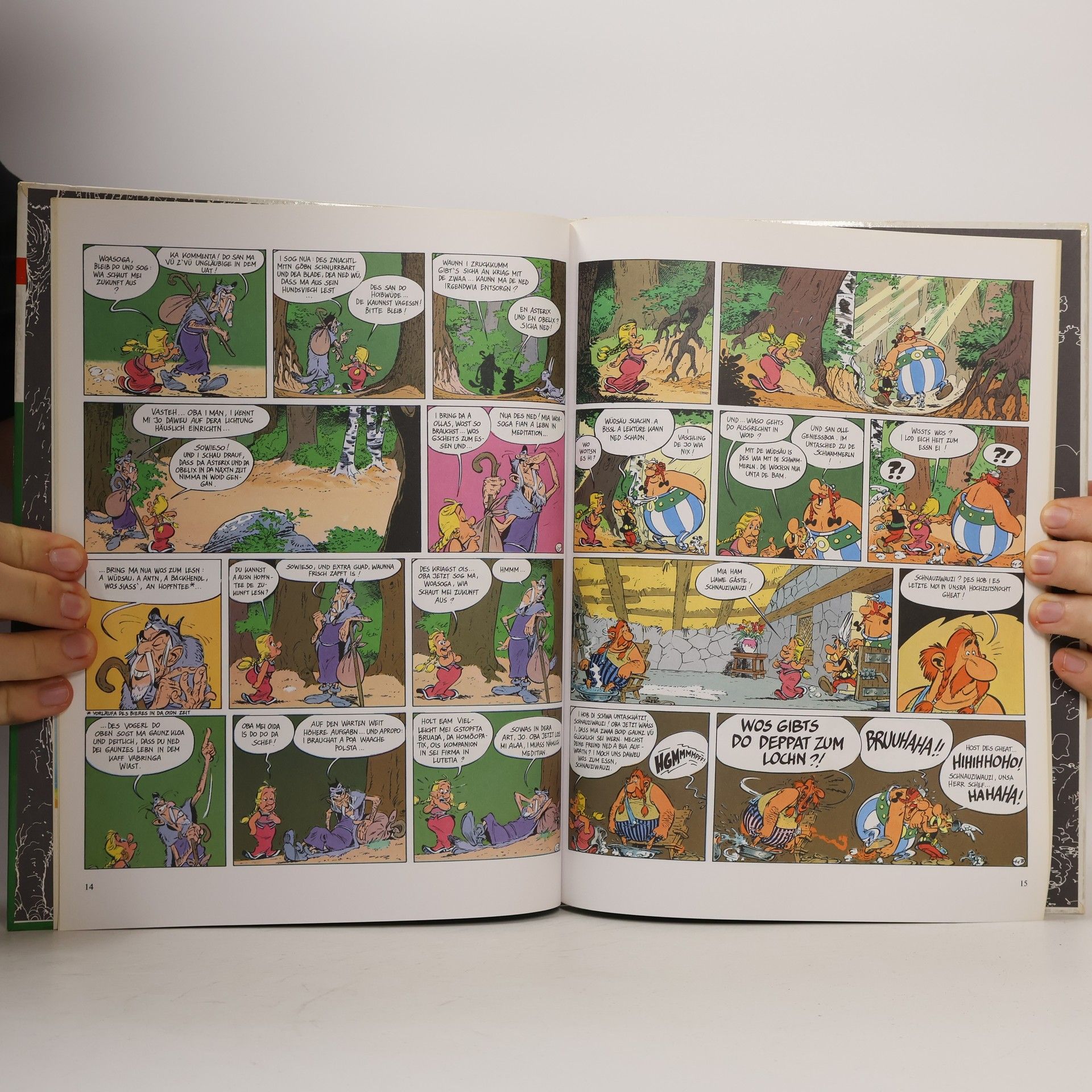 René Goscinny Asterix Mundart 17