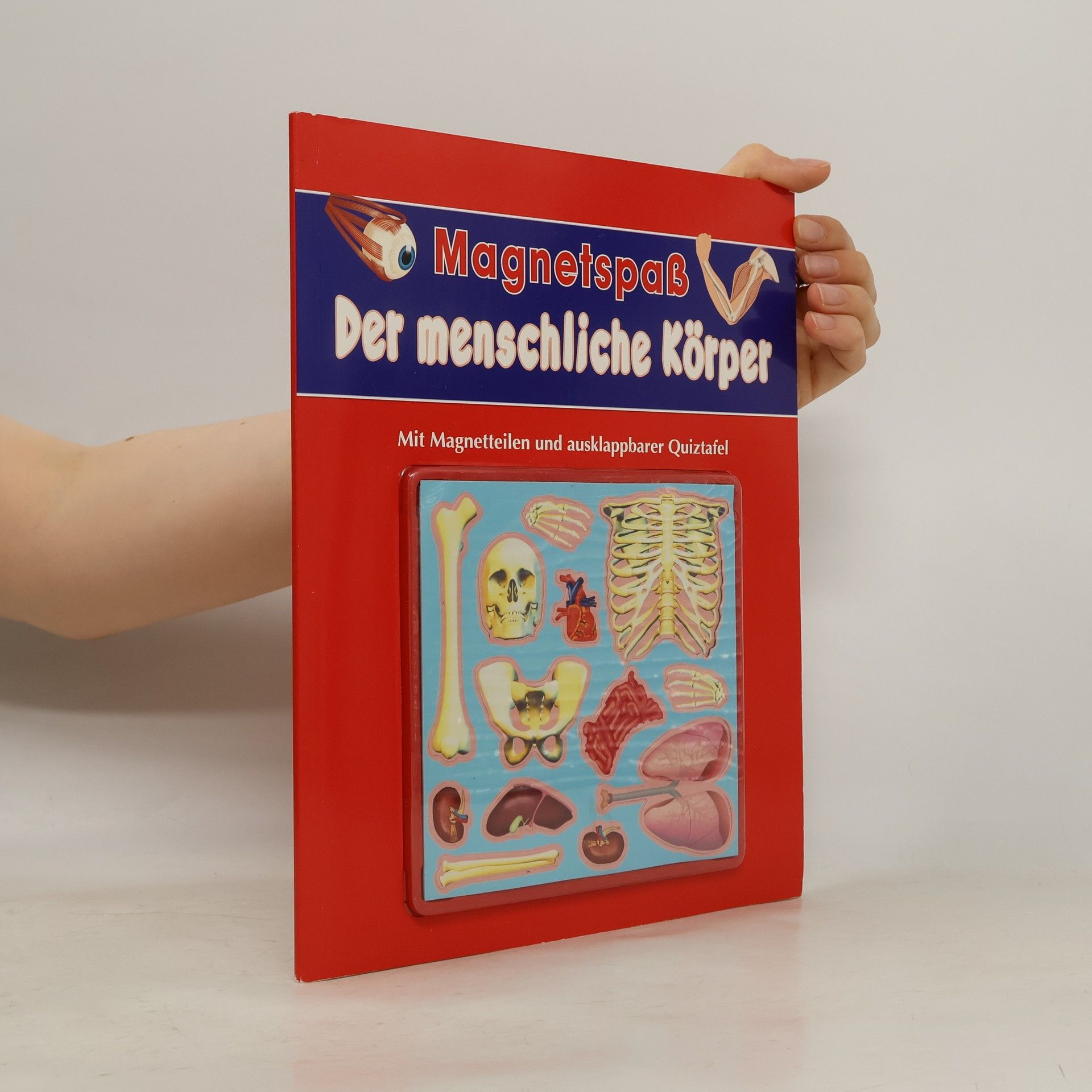Steve Parker Magnetspaß - der menschliche Körper