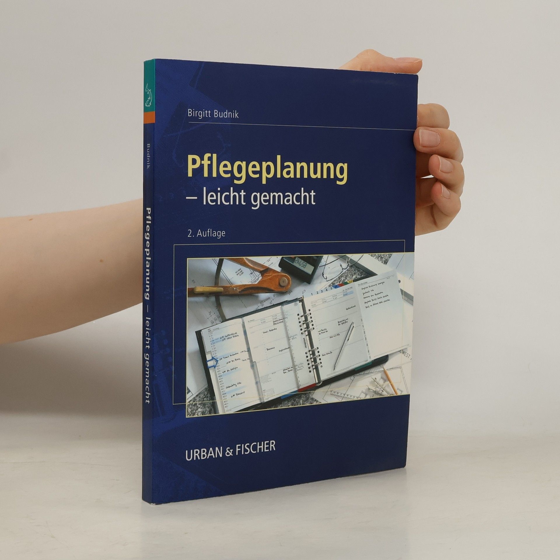 Birgitt Budnik Pflegeplanung leicht gemacht