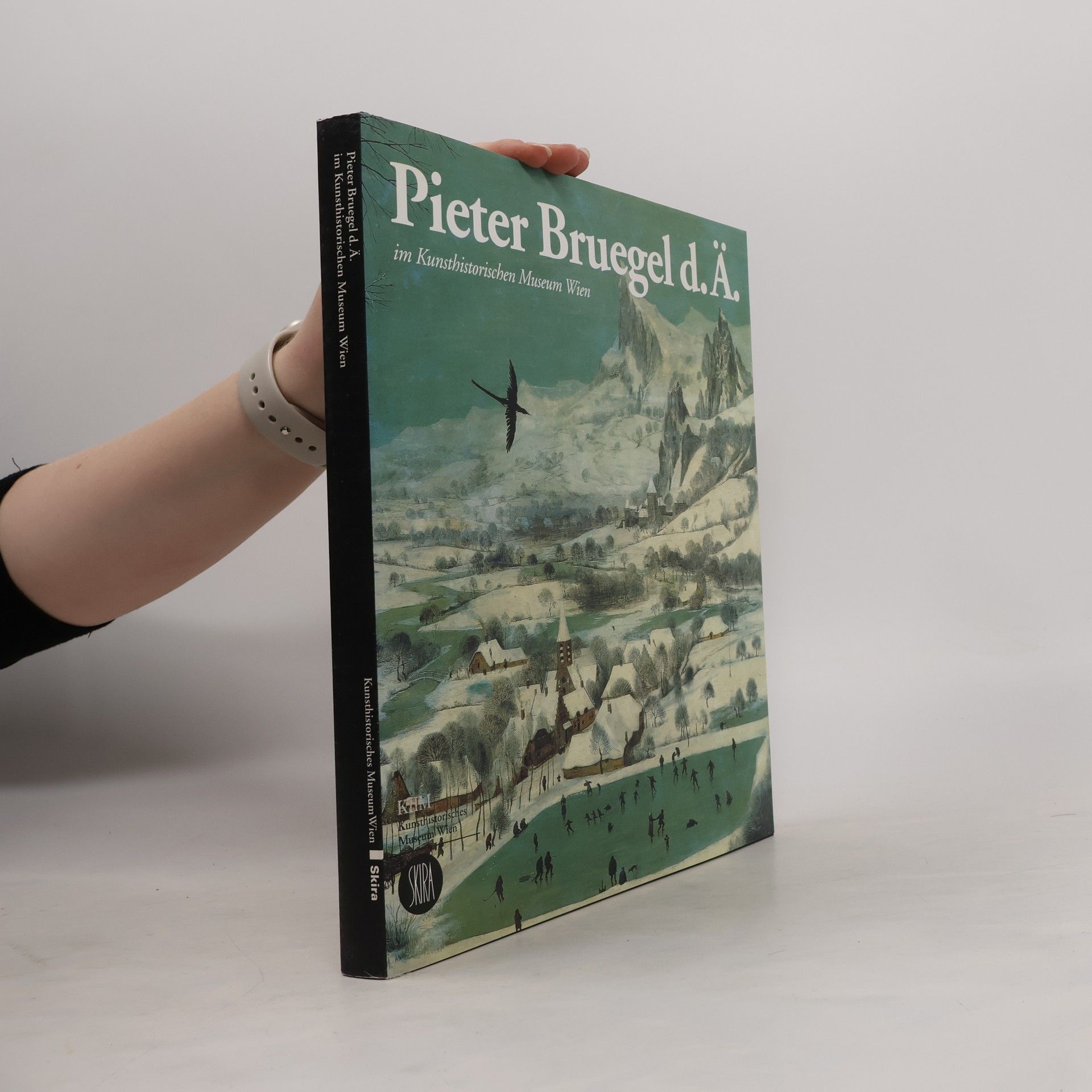 Kolektiv autorů Pieter Bruegel d.Ä - im Kunsthistorischen Museum Wien
