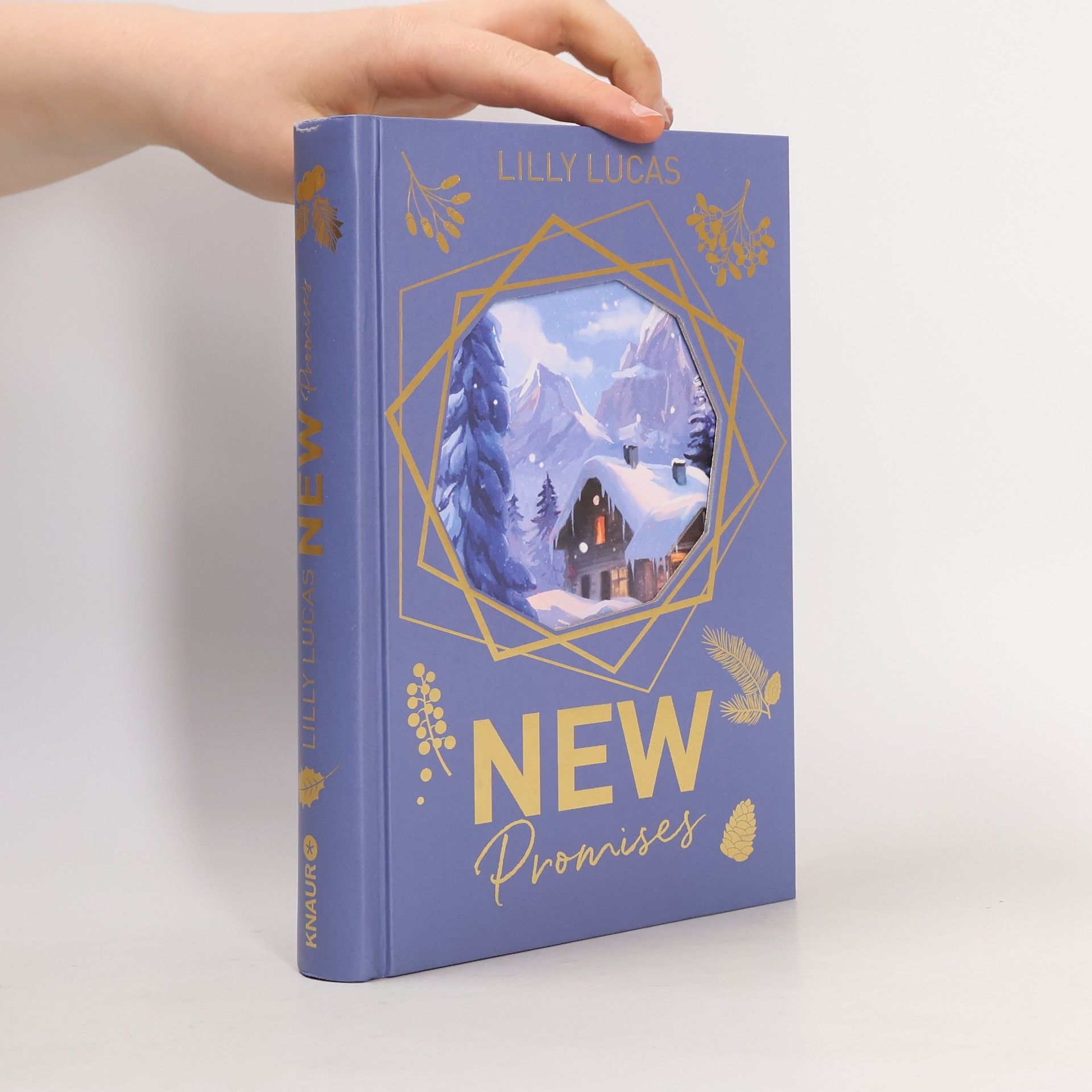 Lilly Lucas Green Valley Love - 2: New Promises