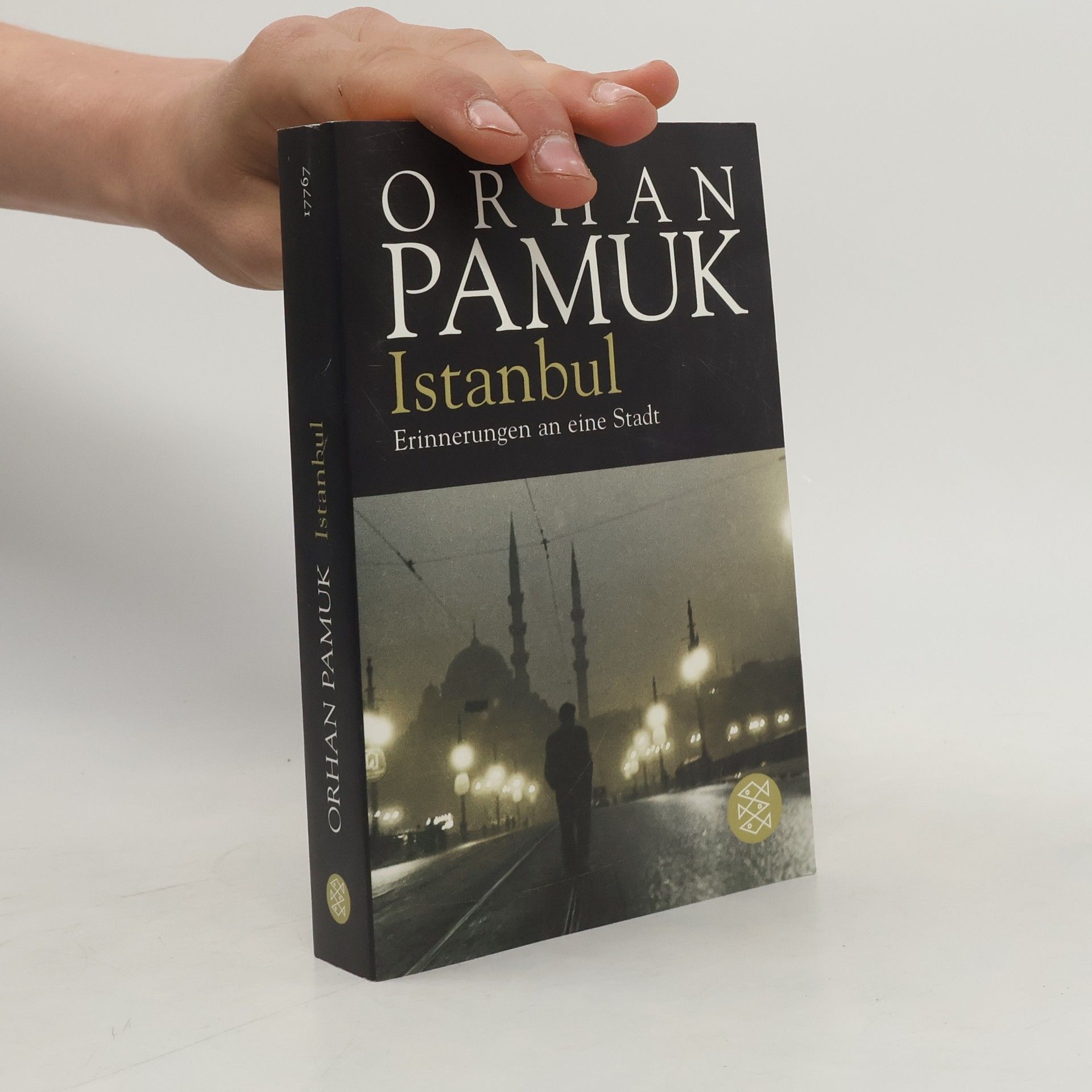 Orhan Pamuk Istanbul - Erinnerungen an eine Stadt