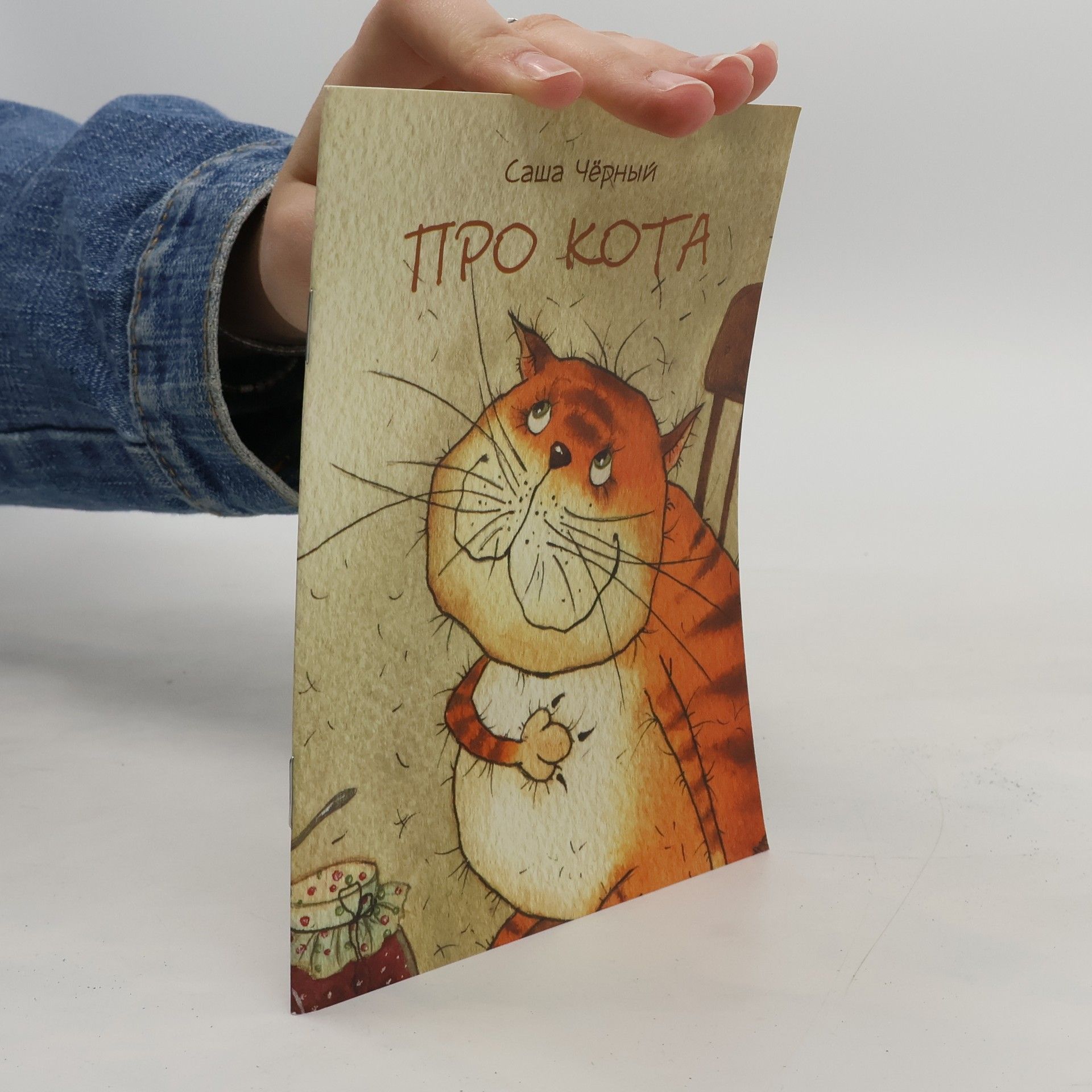 Sasha Cherny Про кота