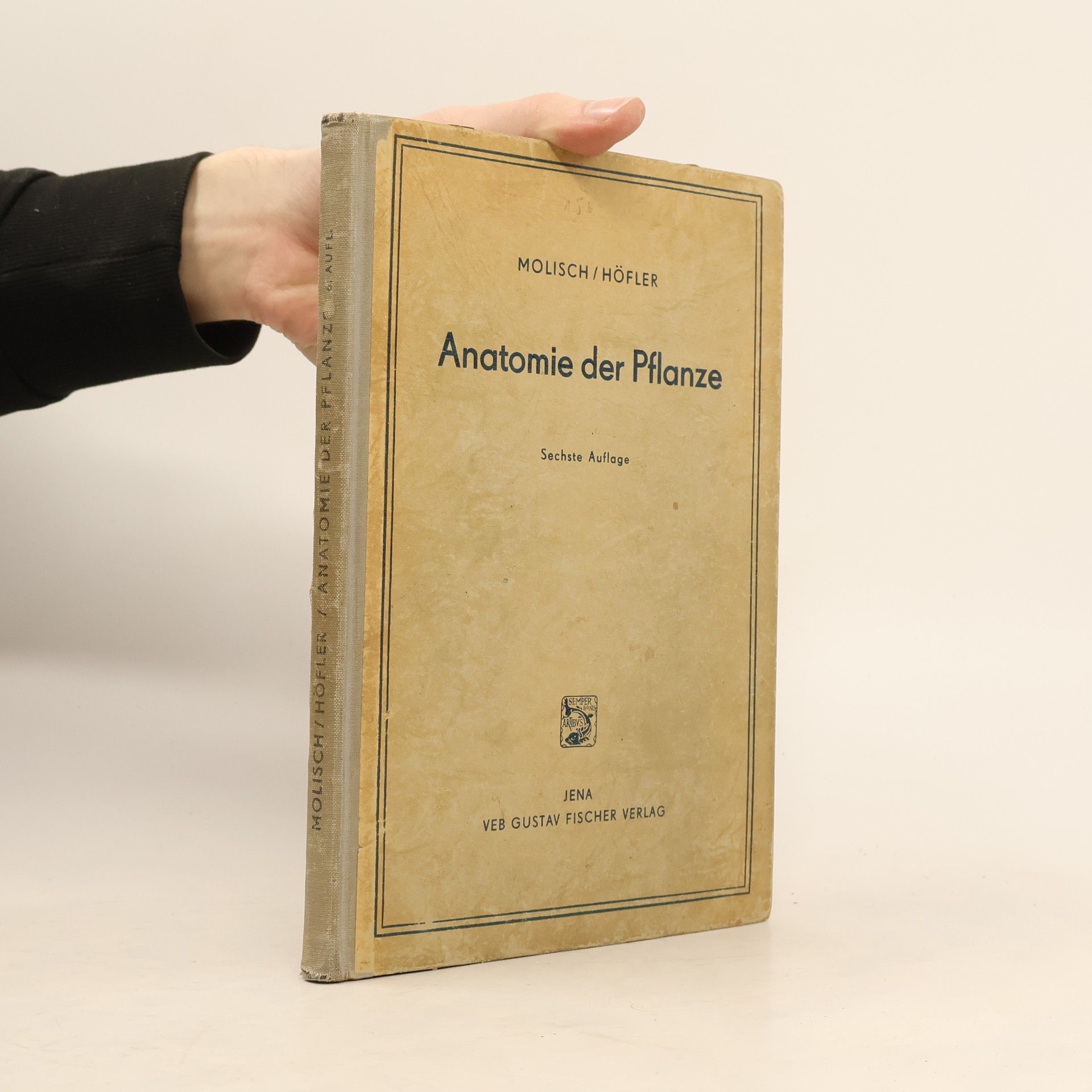 Karl Höfler Anatomie der Pflanze