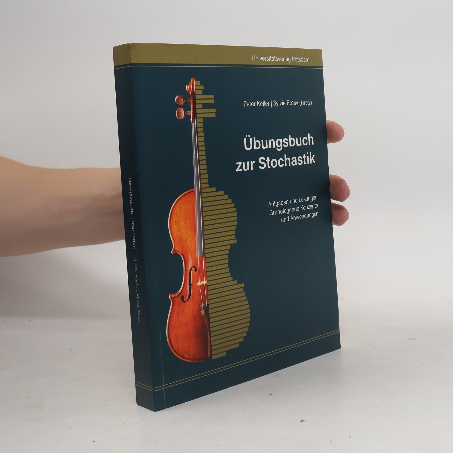 Franziska Göbel Übungsbuch zur Stochastik