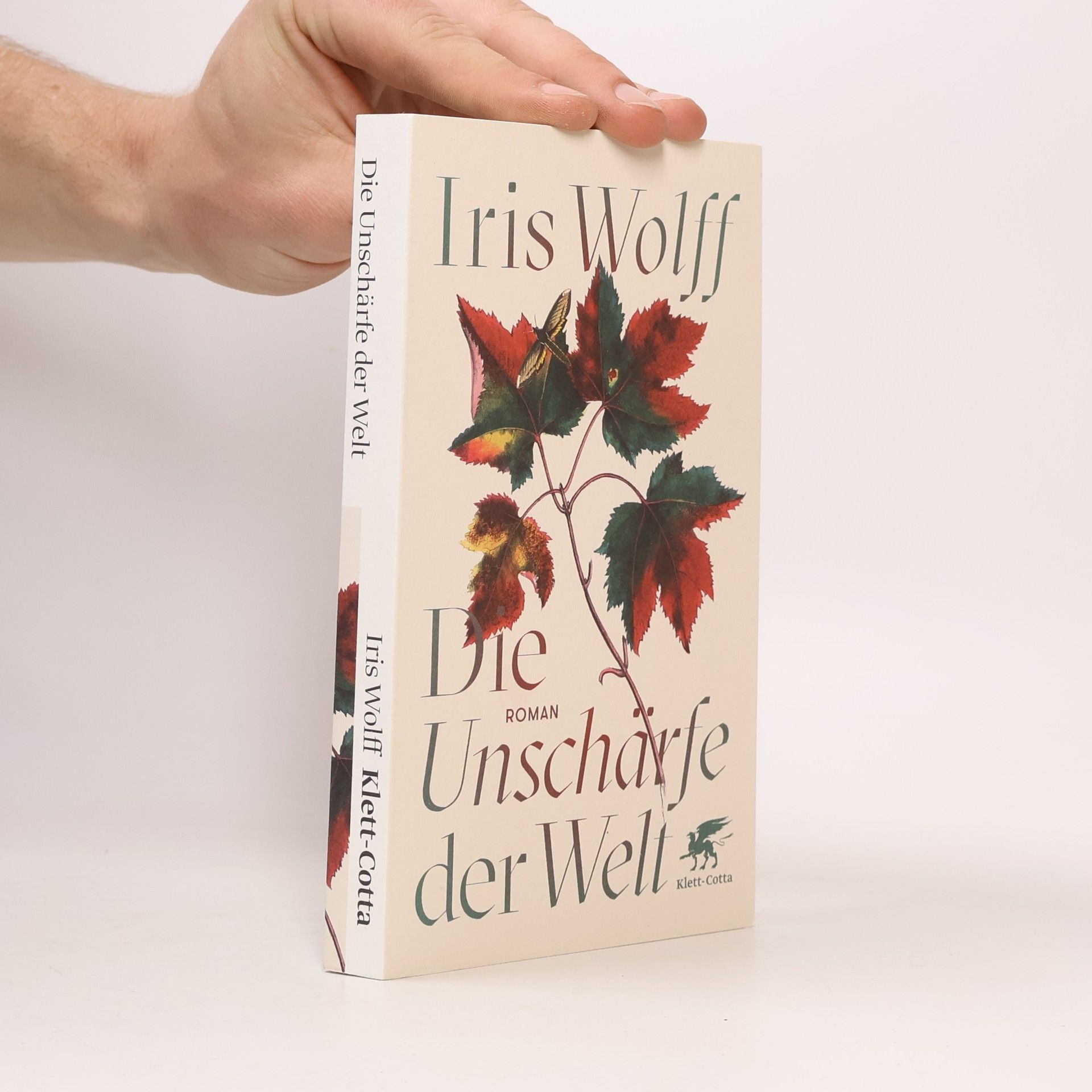 Iris Wolff Die Unschärfe der Welt