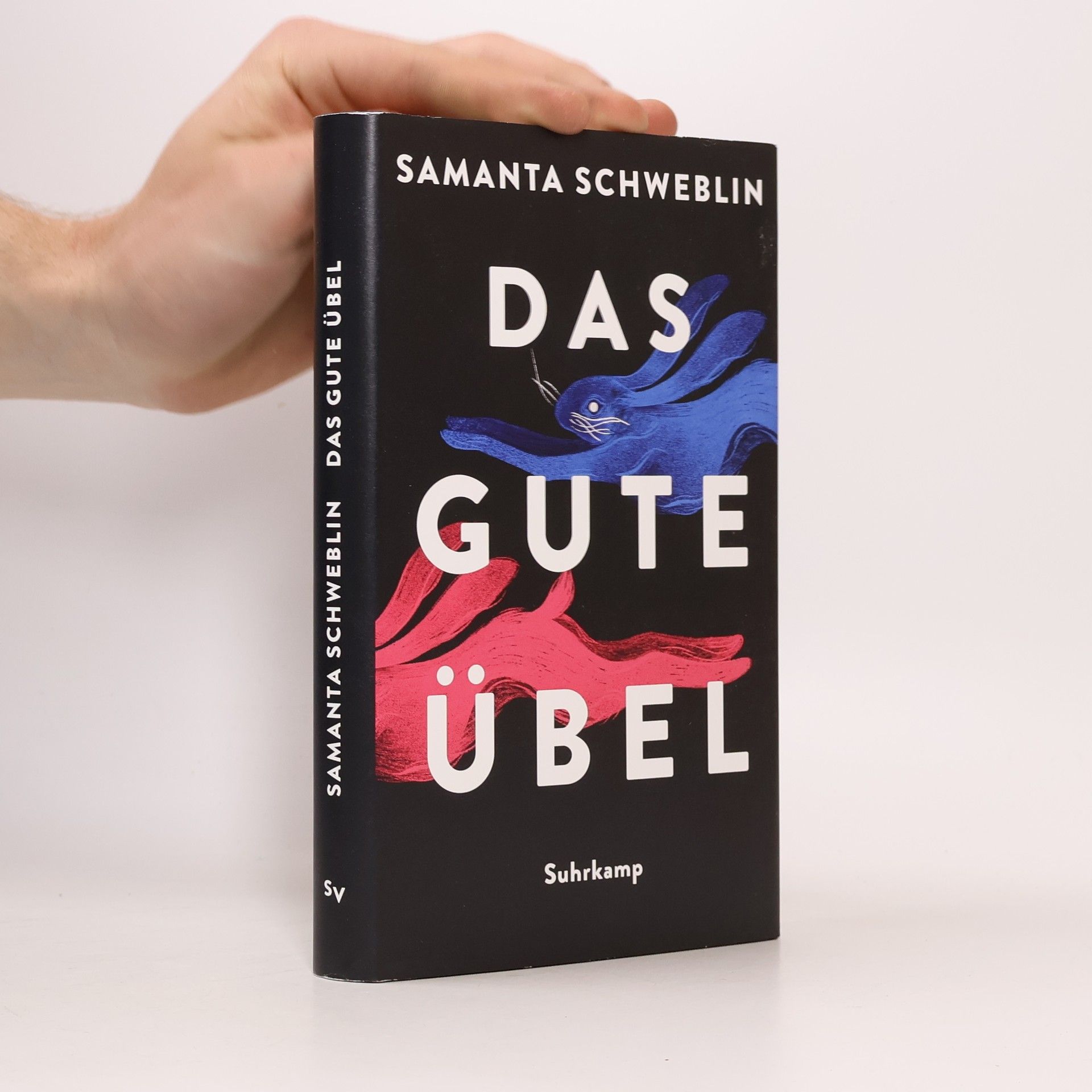 Samanta Schweblin Das gute Übel