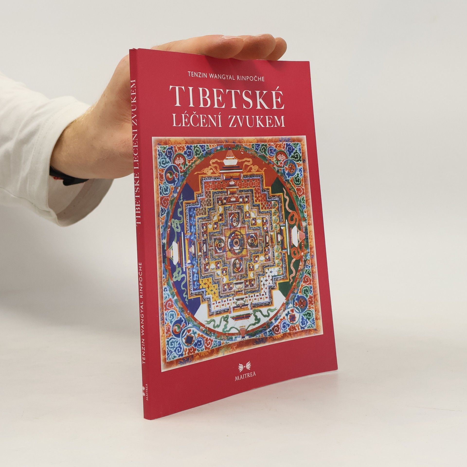 Tändzin Wanggjal Tibetské léčení zvukem