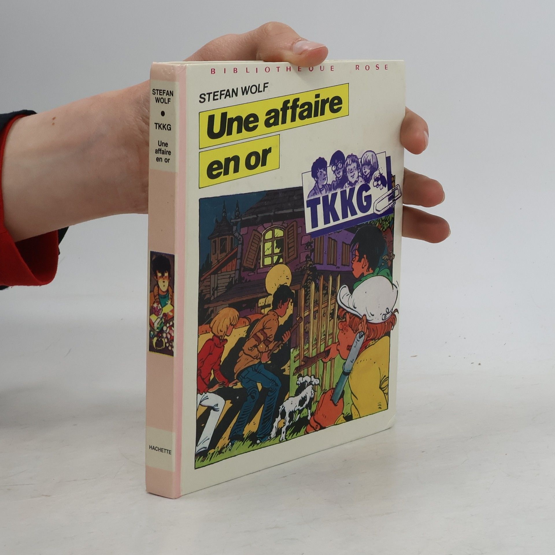 Stefan Wolf Une affaire en or - TKKG