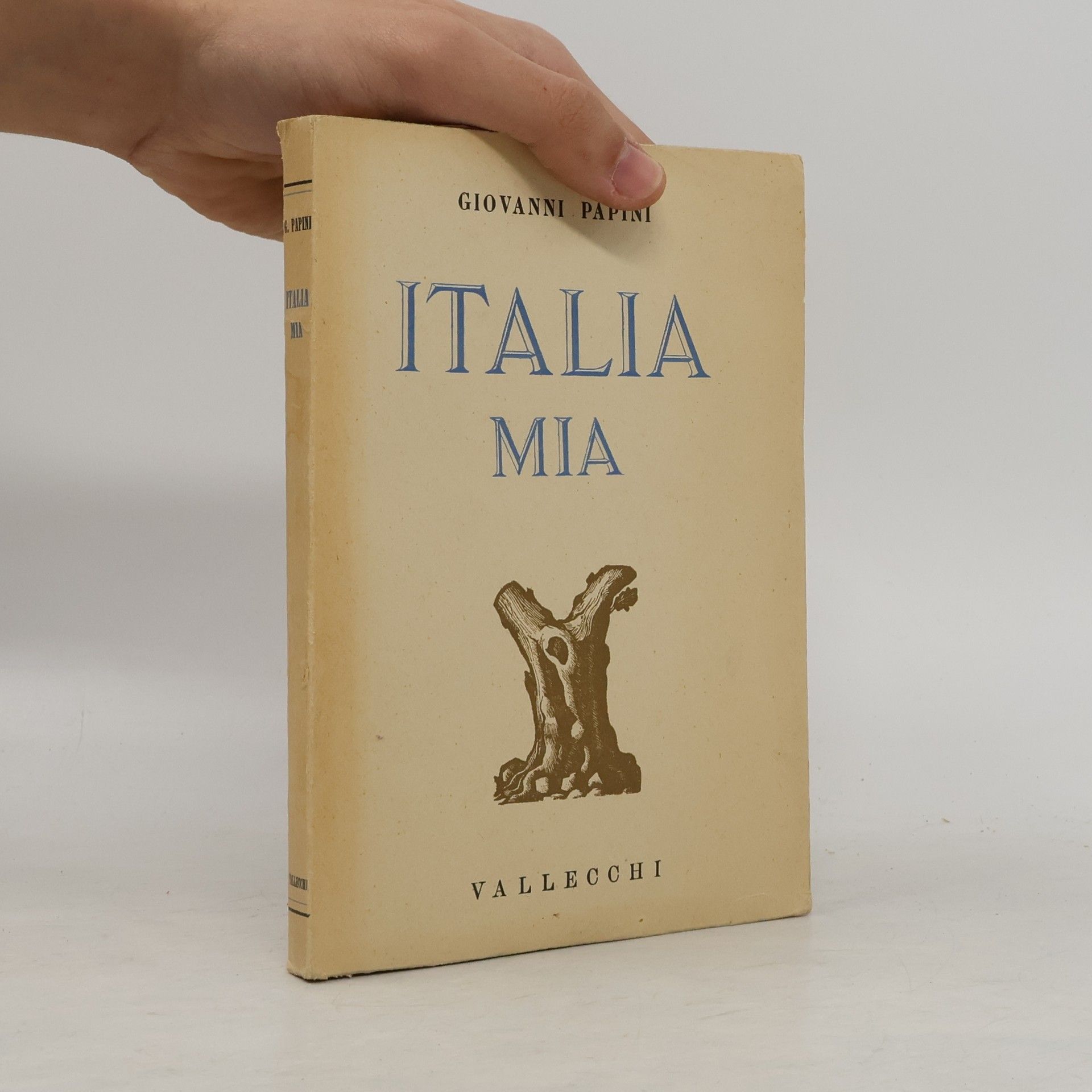 Giovanni Papini Italia mia