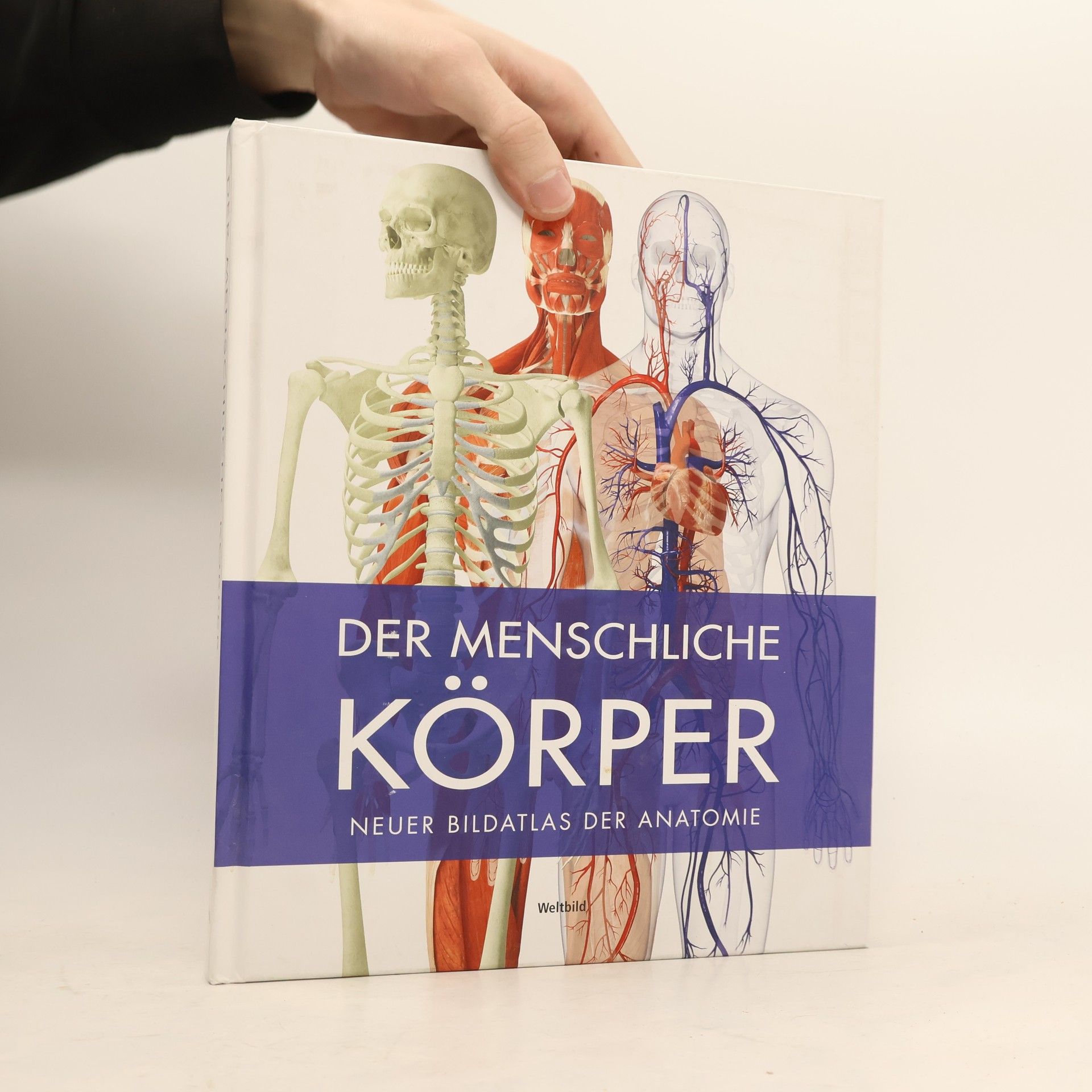 Der menschliche Körper