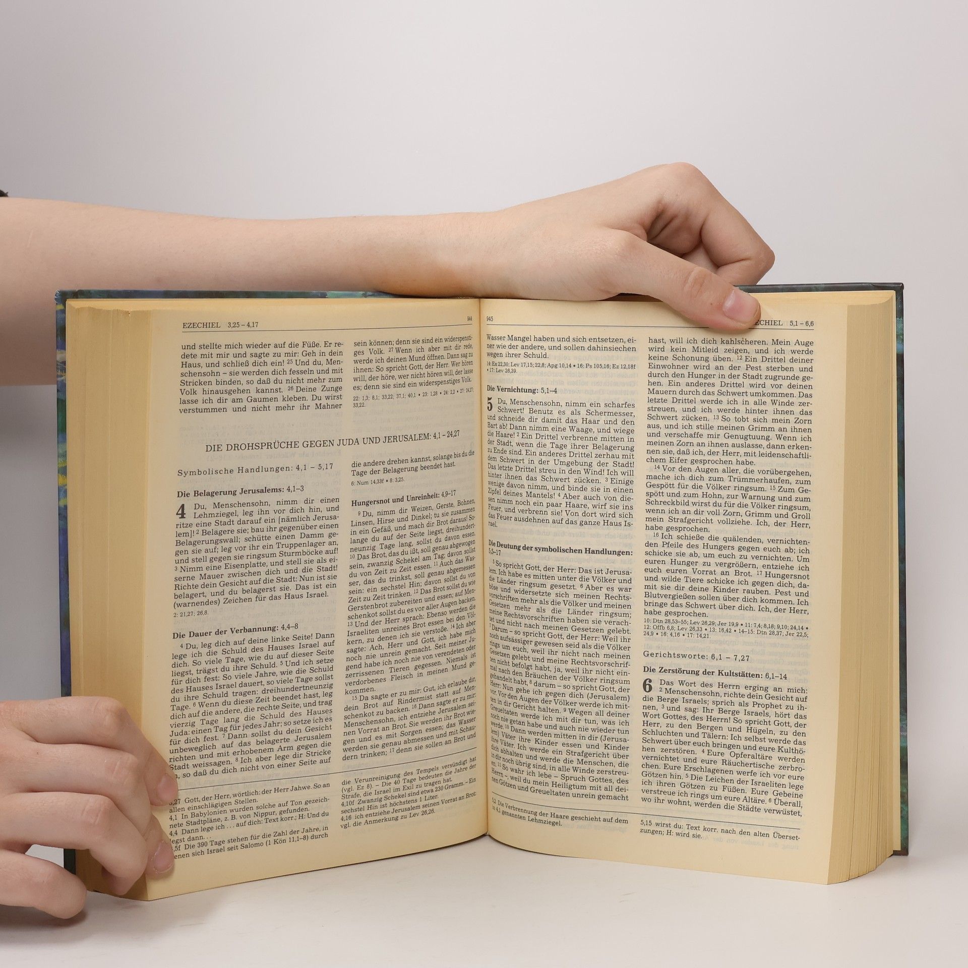 Collectif d'auteurs Die Bibel. Einheitsübersetzung