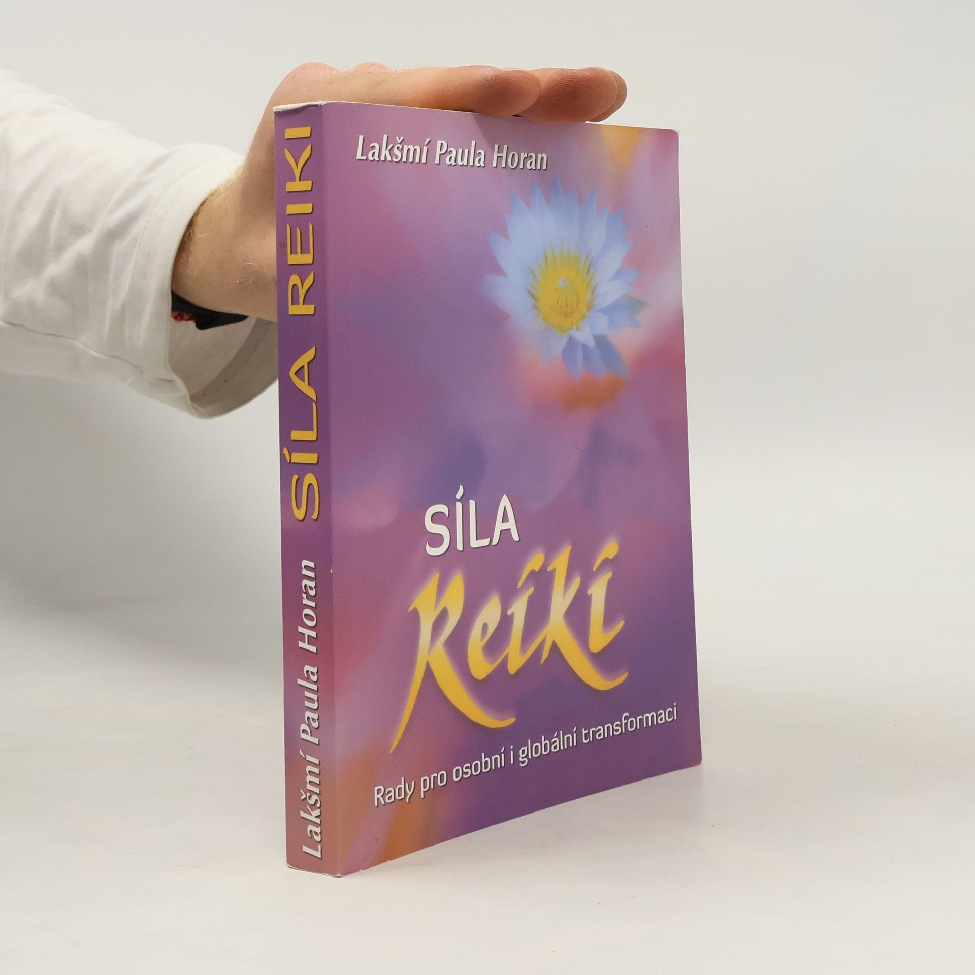 Paula Horan Síla reiki : rady pro osobní i globální transformaci