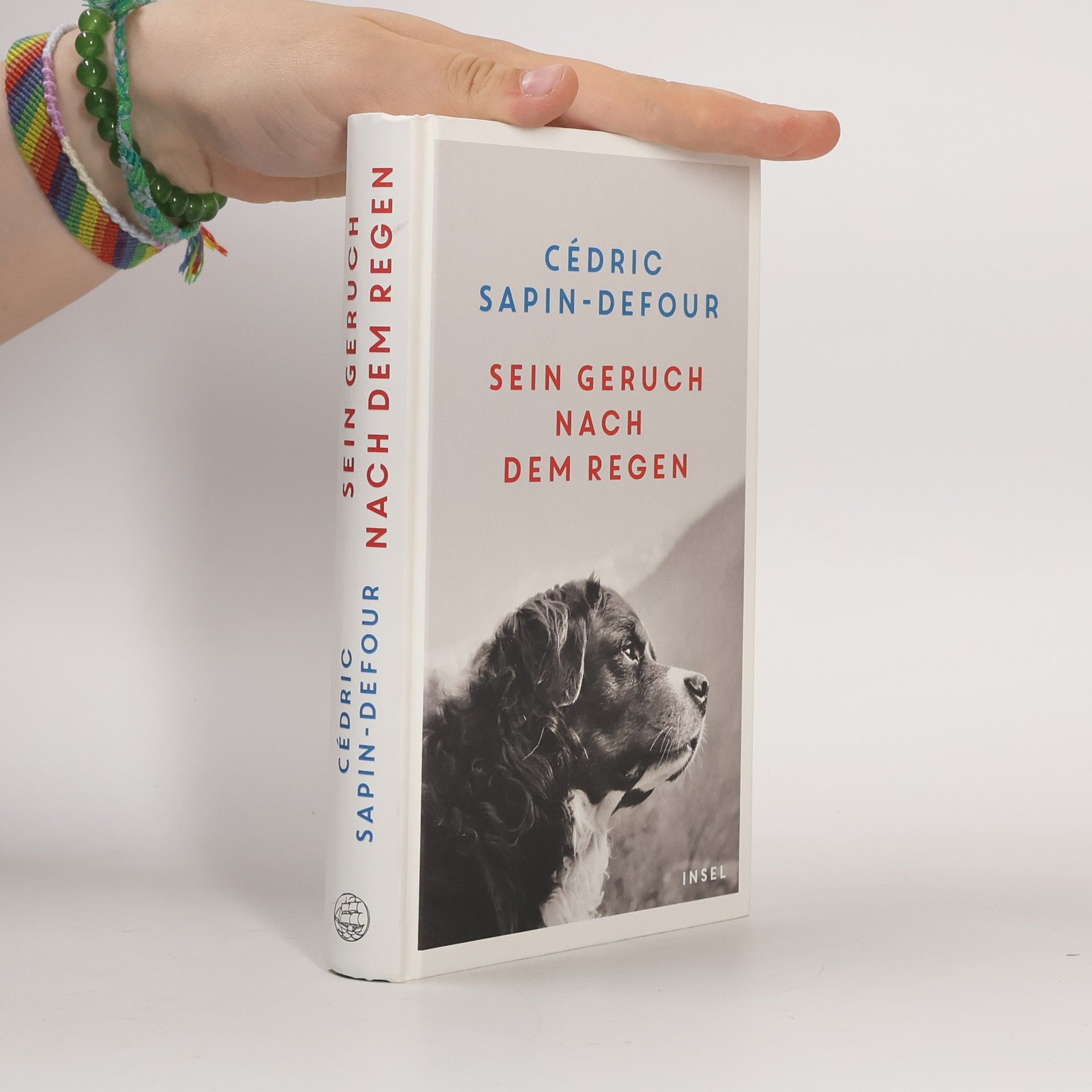 Cédric Sapin-Defour Sein Geruch nach dem Regen