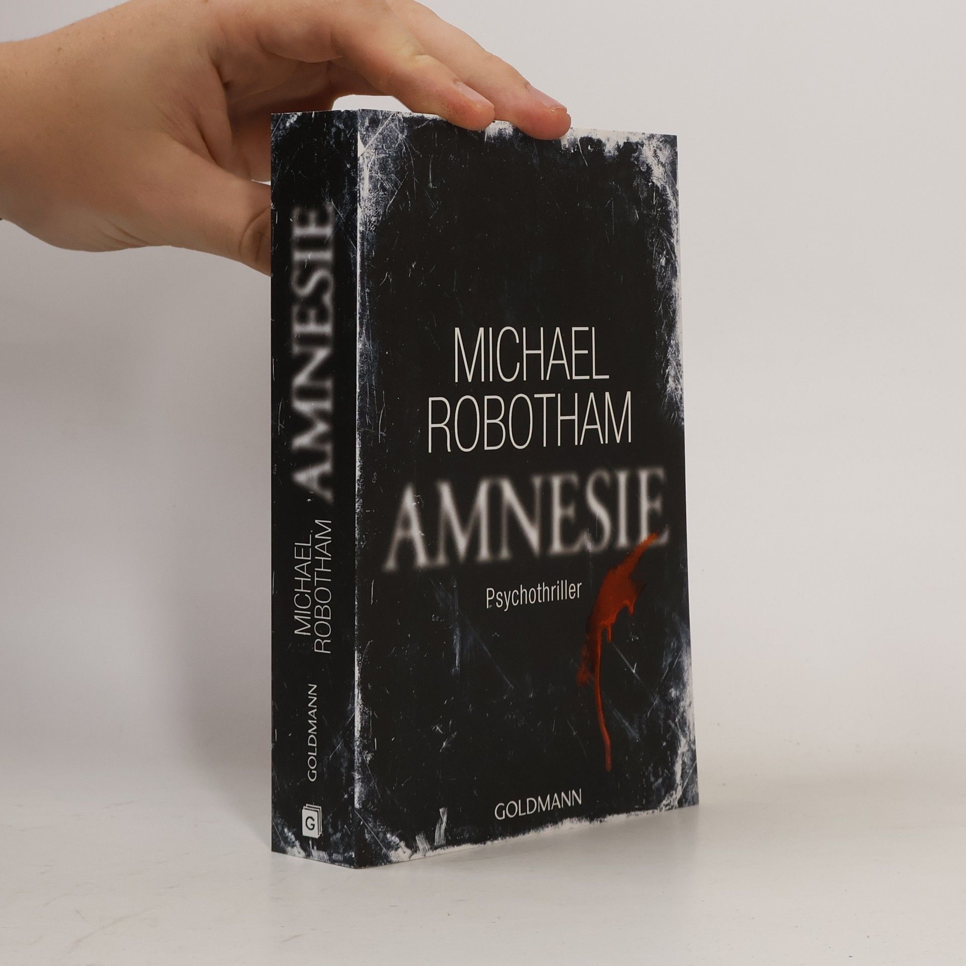 Michael Robotham Amnesie