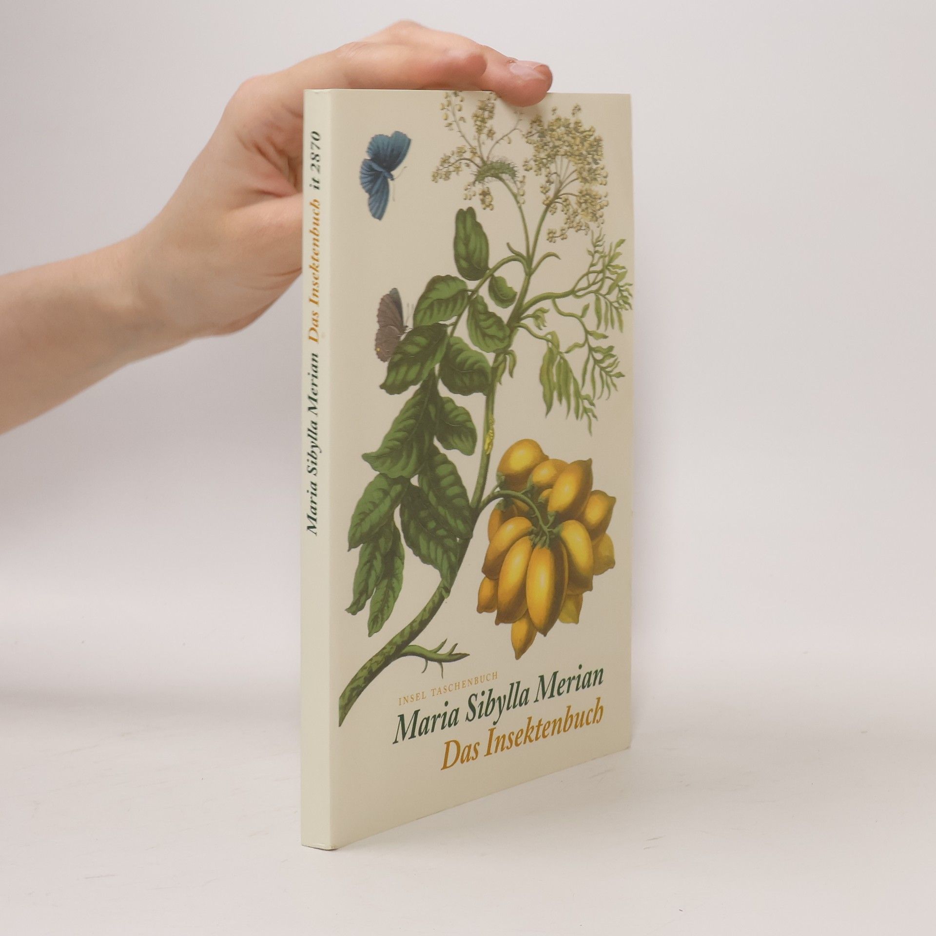 Maria Sibylla Merian Das Insektenbuch