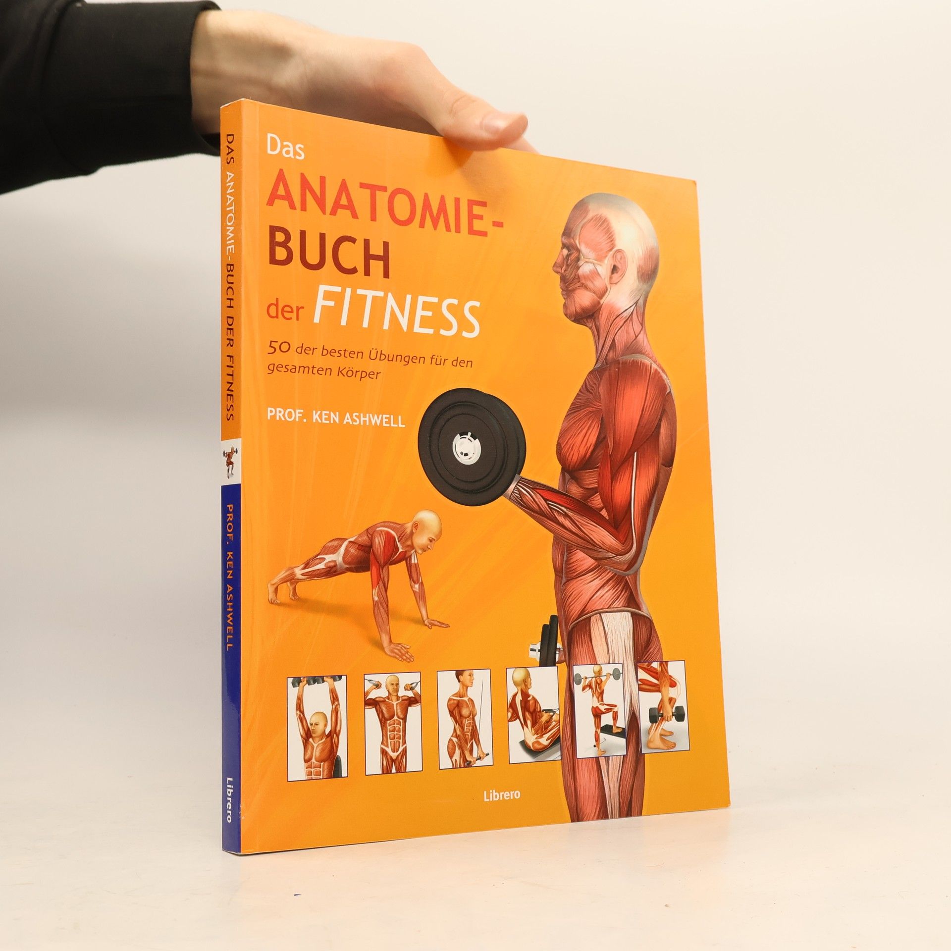 Ken Ashwell Das Anatomie-Buch der Fitness
