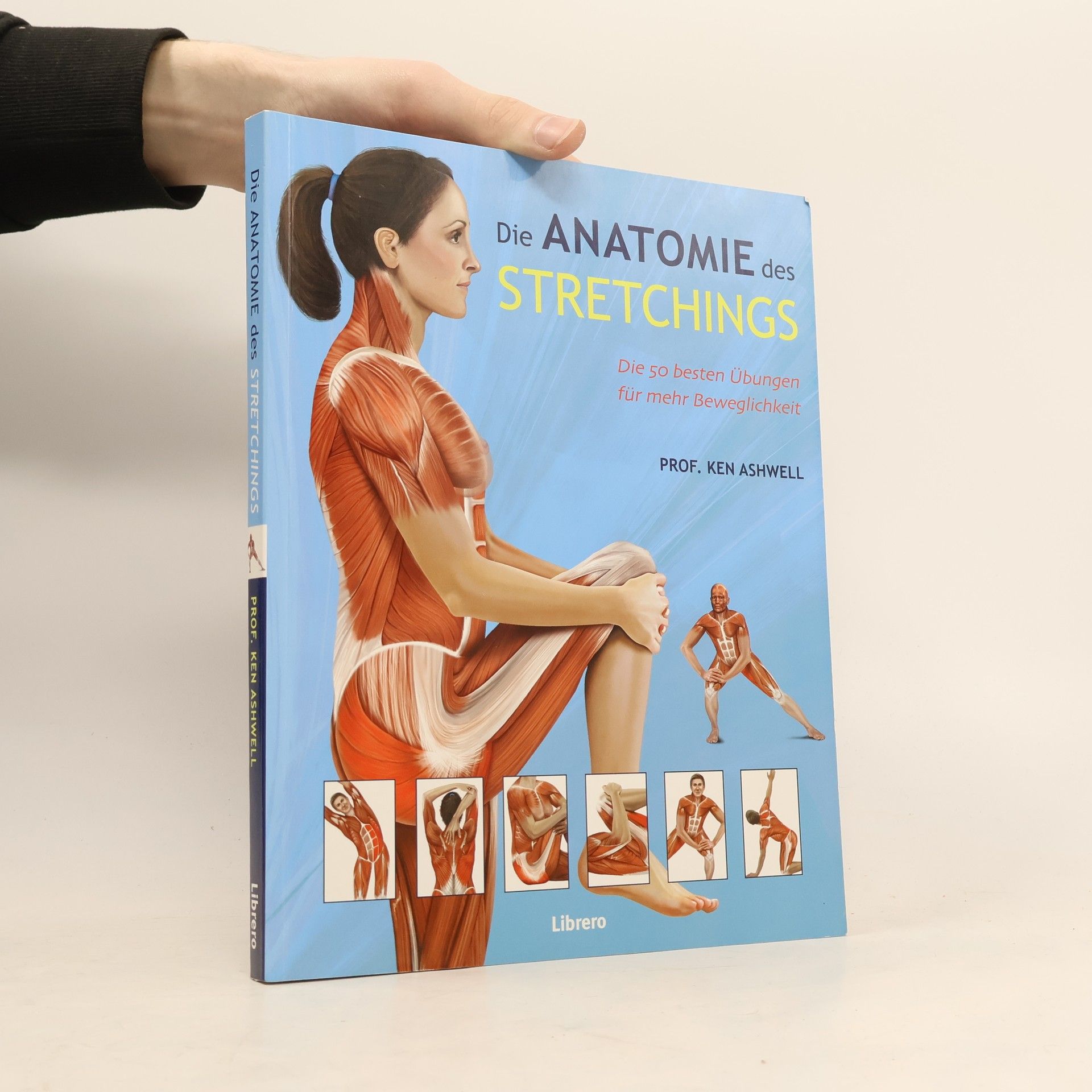 Ken Ashwell Das Anatomie des Stretchings