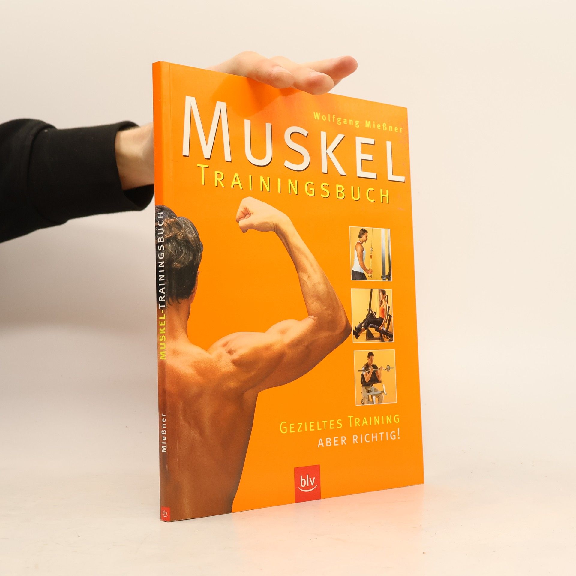 Wolfgang Mießner Muskel-Trainingsbuch