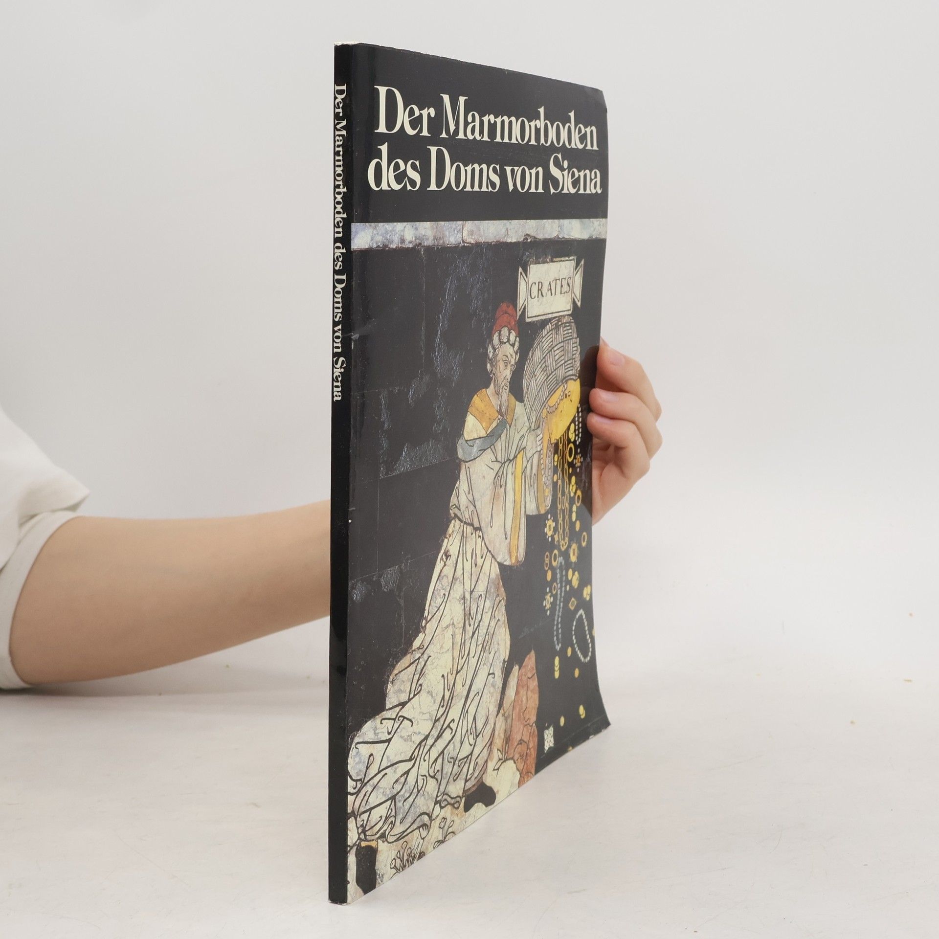 Kolektiv autorů Der Marmorboden des Doms von Siena