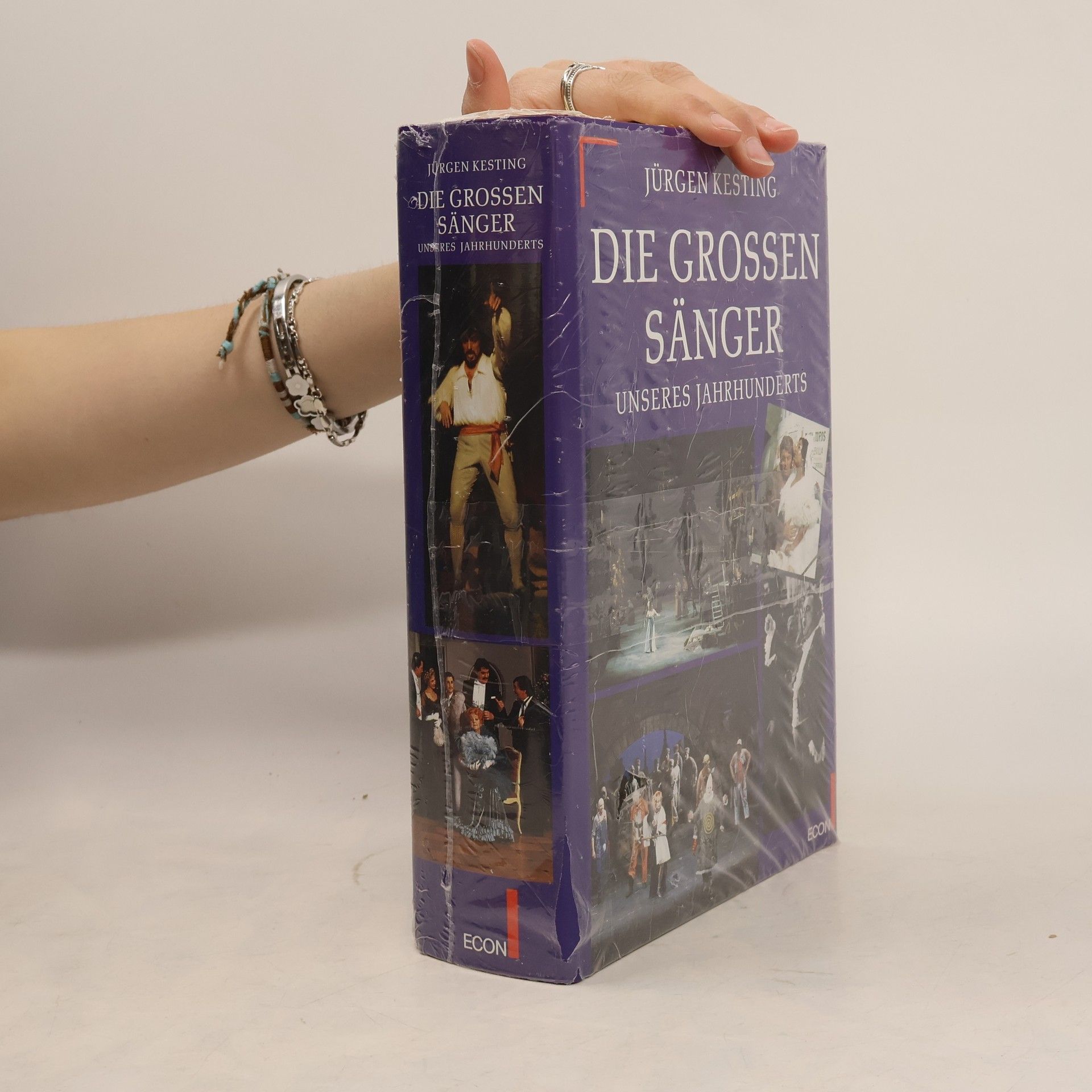 Jürgen Kesting Die grossen Sänger des 20. Jahrhunderts