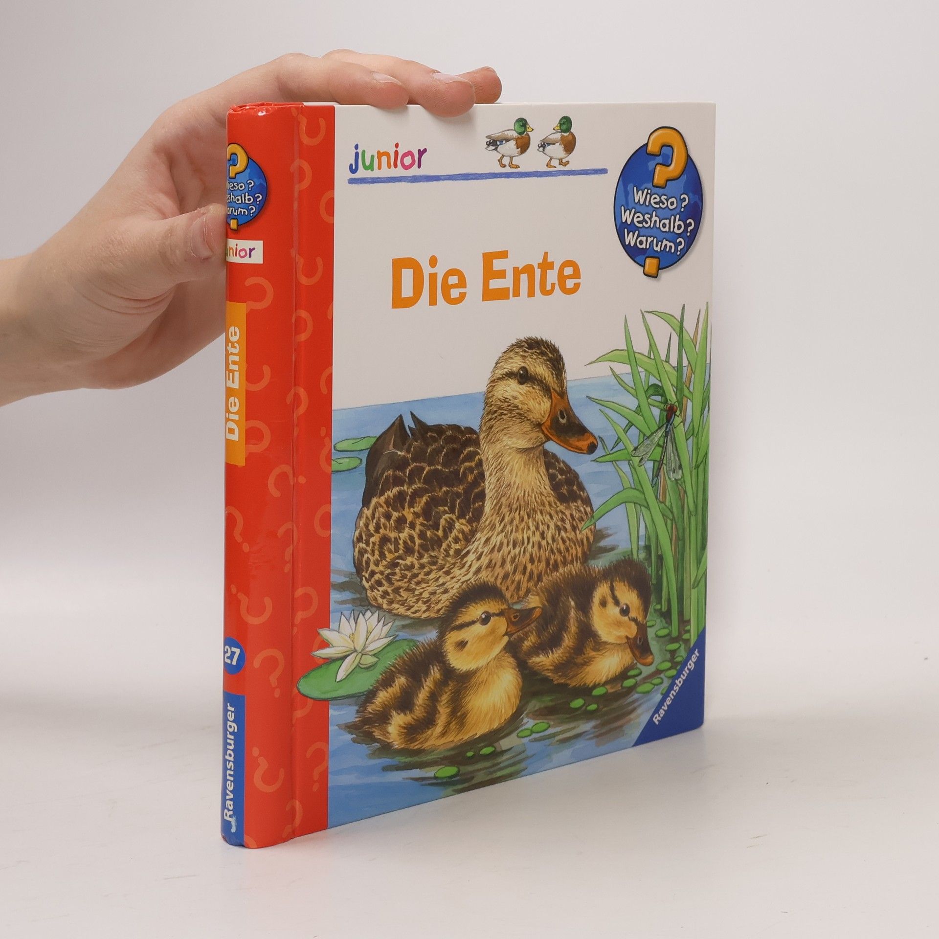 Ursula Weller Die Ente