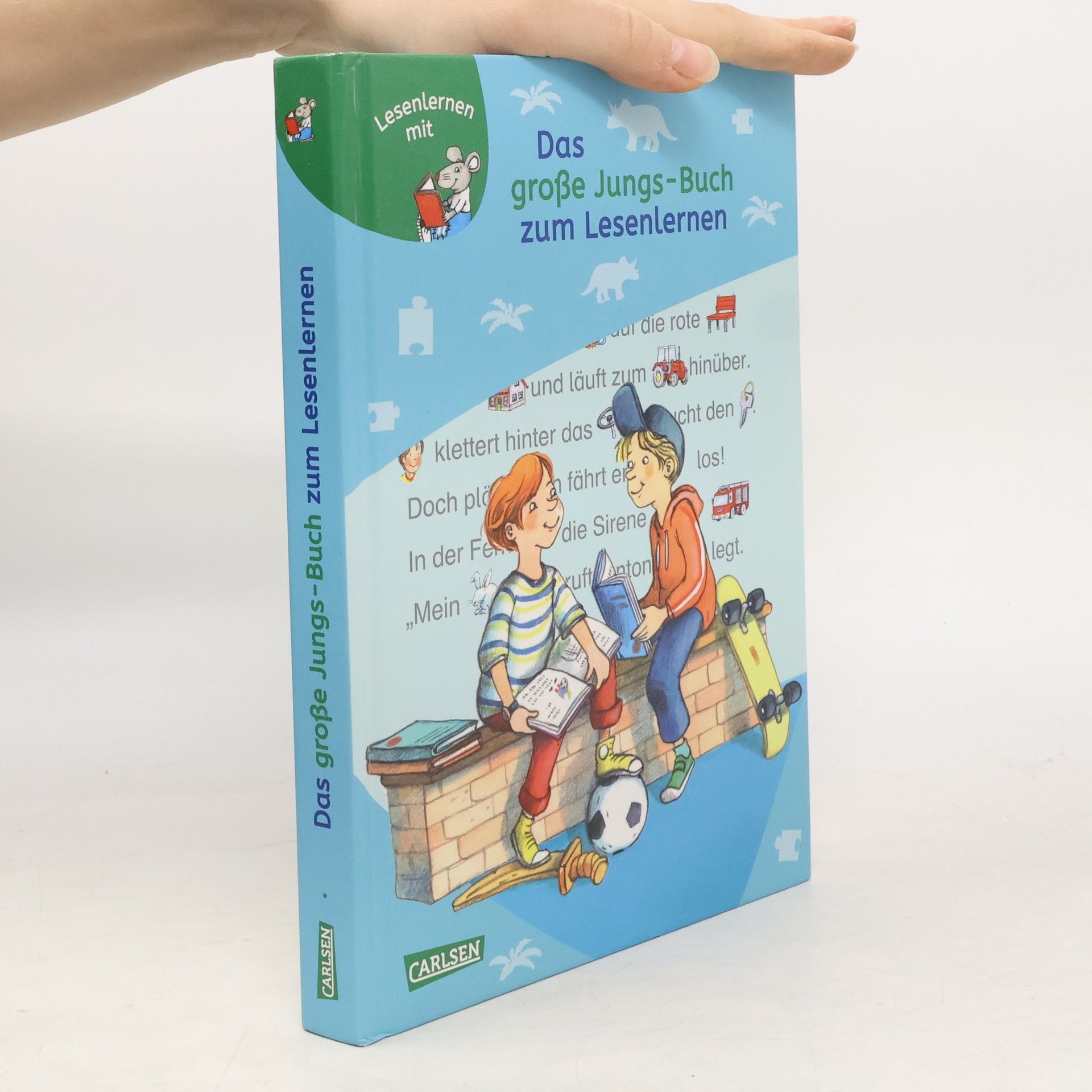 Christa Holtei Das große Jungs-Buch zum Lesenlernen