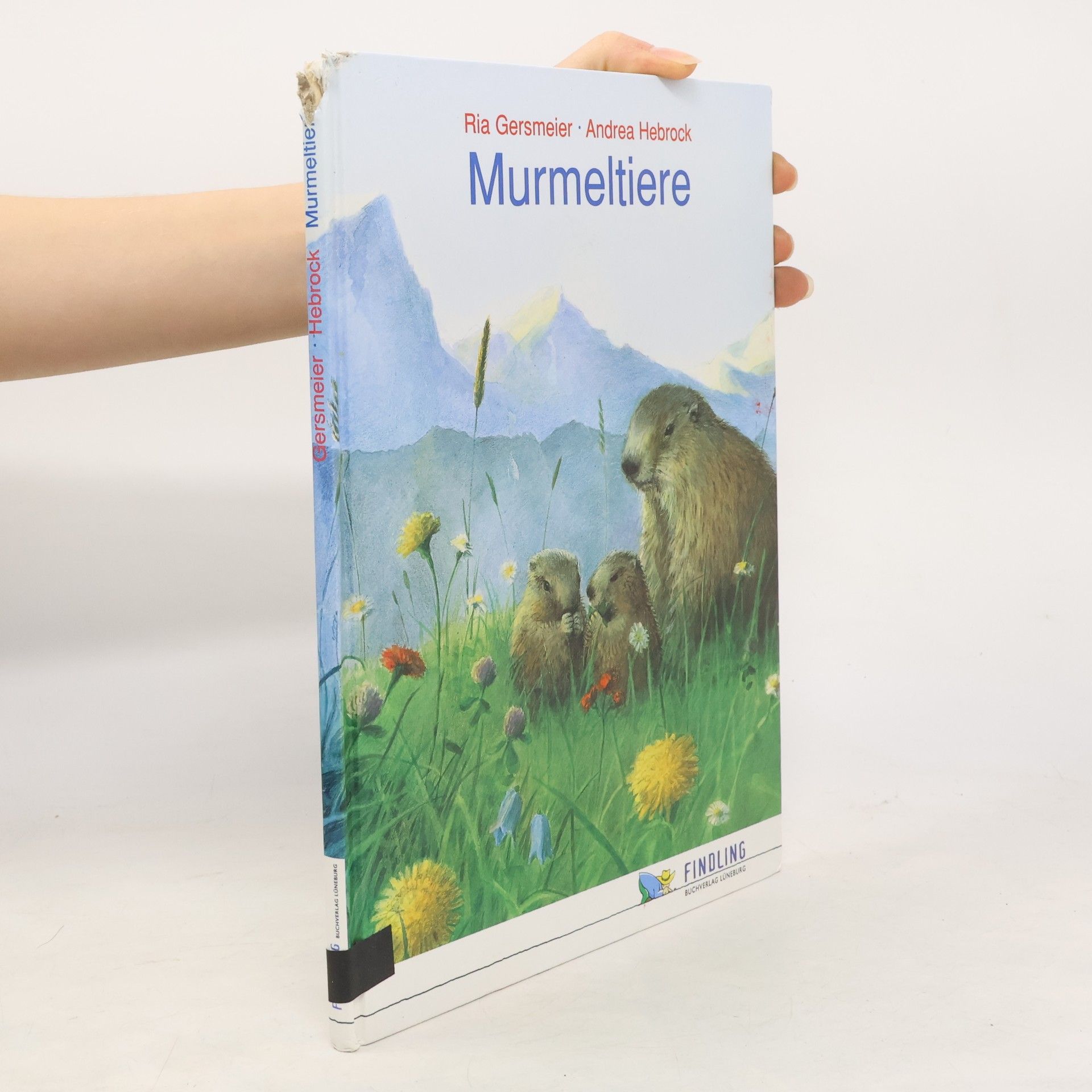 Ria Gersmeier Murmeltiere