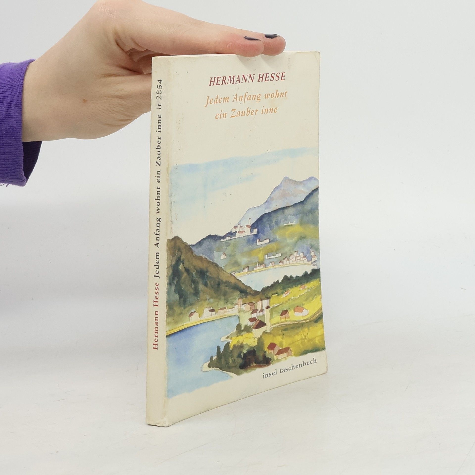 Hermann Hesse Jedem Anfang wohnt ein Zauber inne