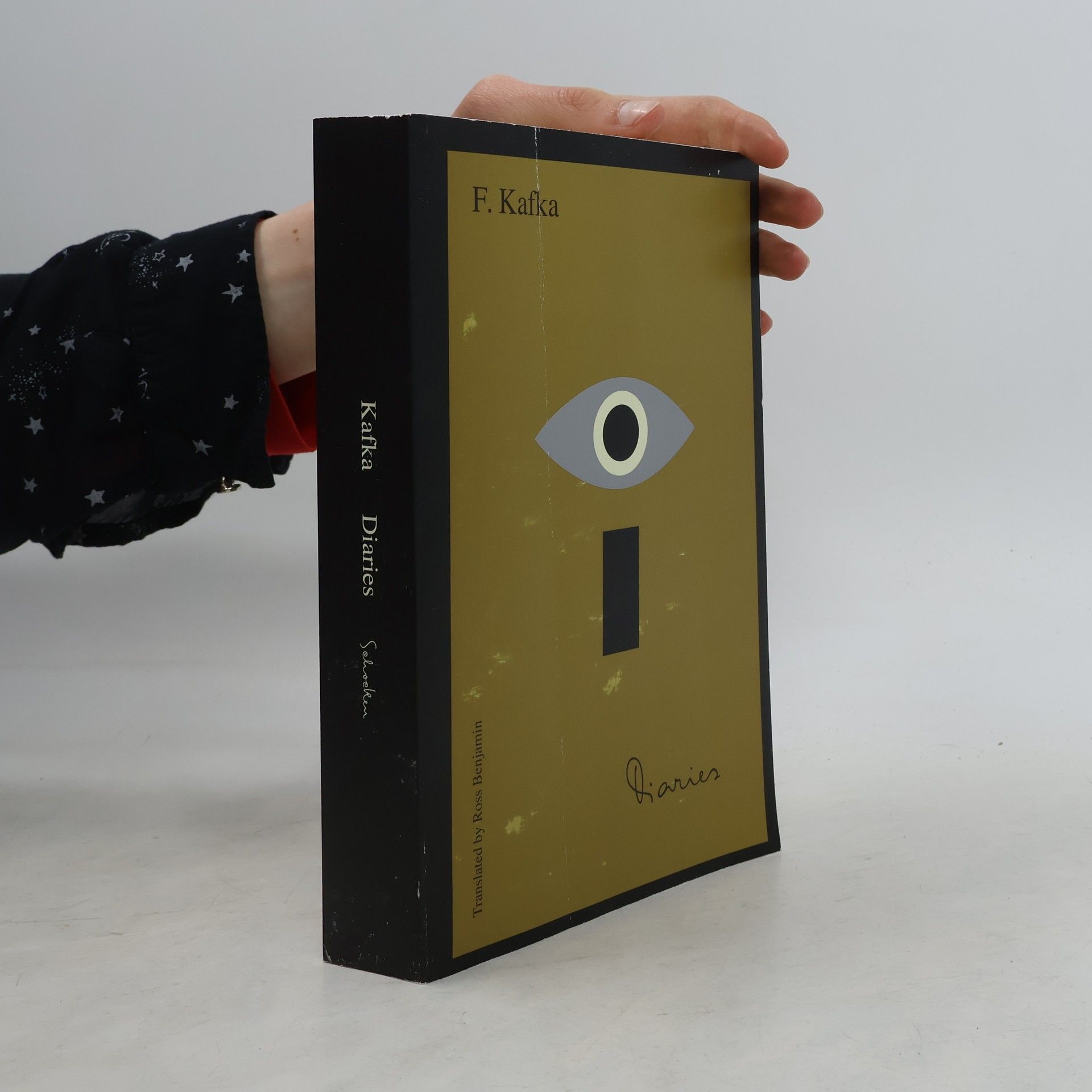 Franz Kafka Diaries of Franz Kafka